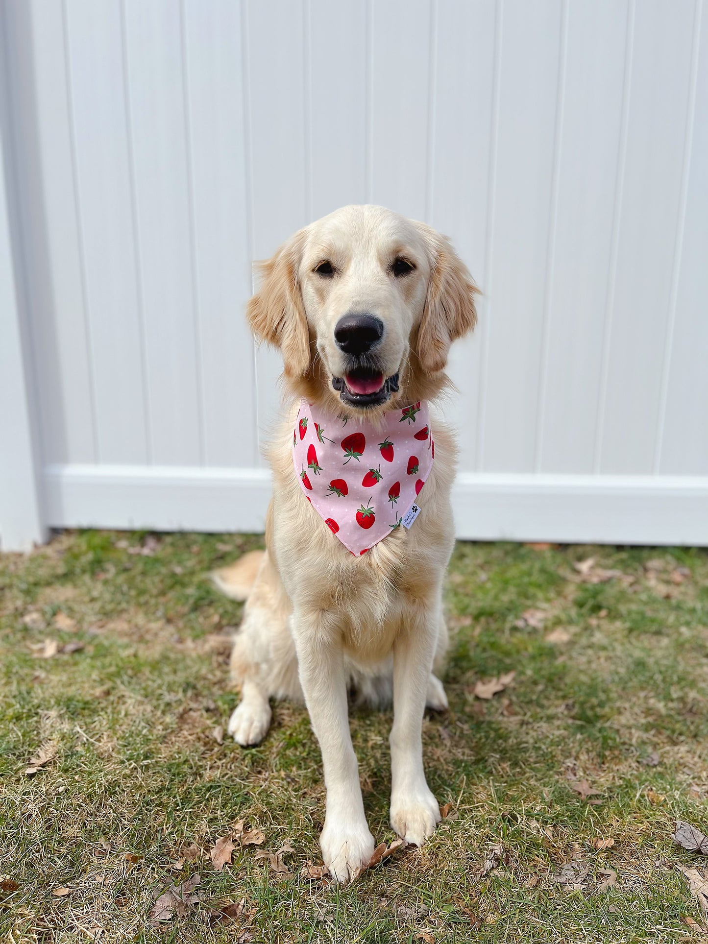 Strawberry And Cherry Bandana