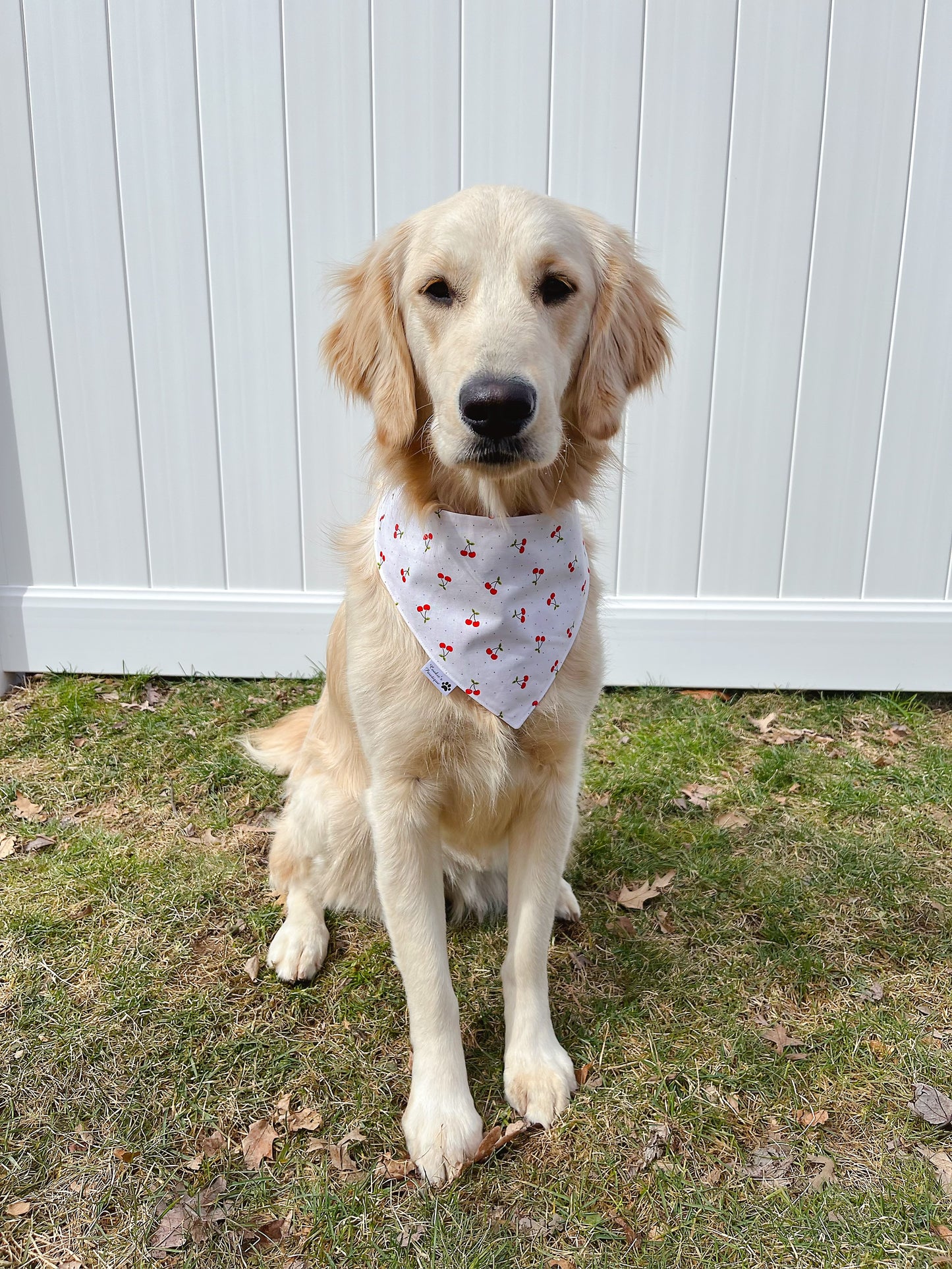 Strawberry And Cherry Bandana