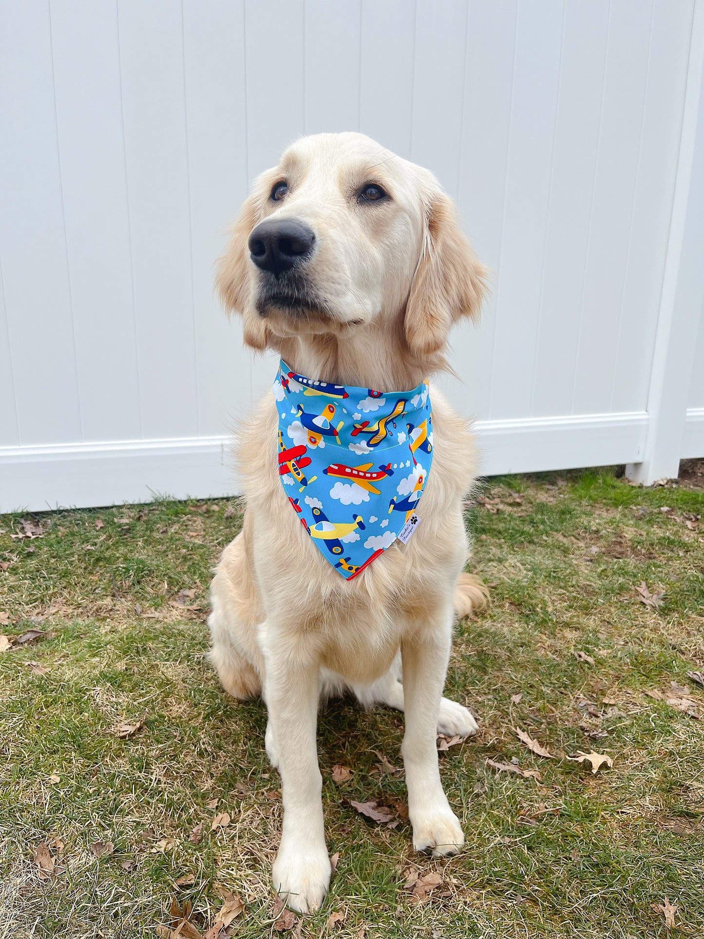 Cute Airplane And Cloud Bandana