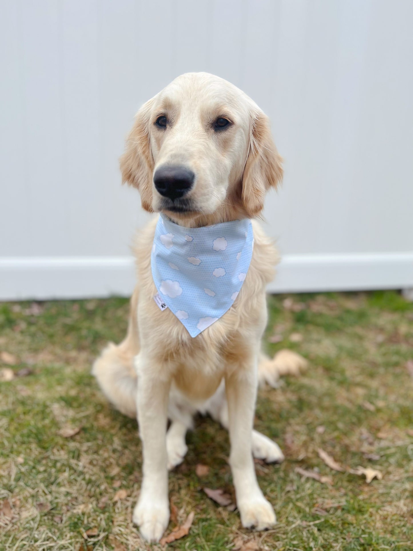 Cute Airplane And Cloud Bandana