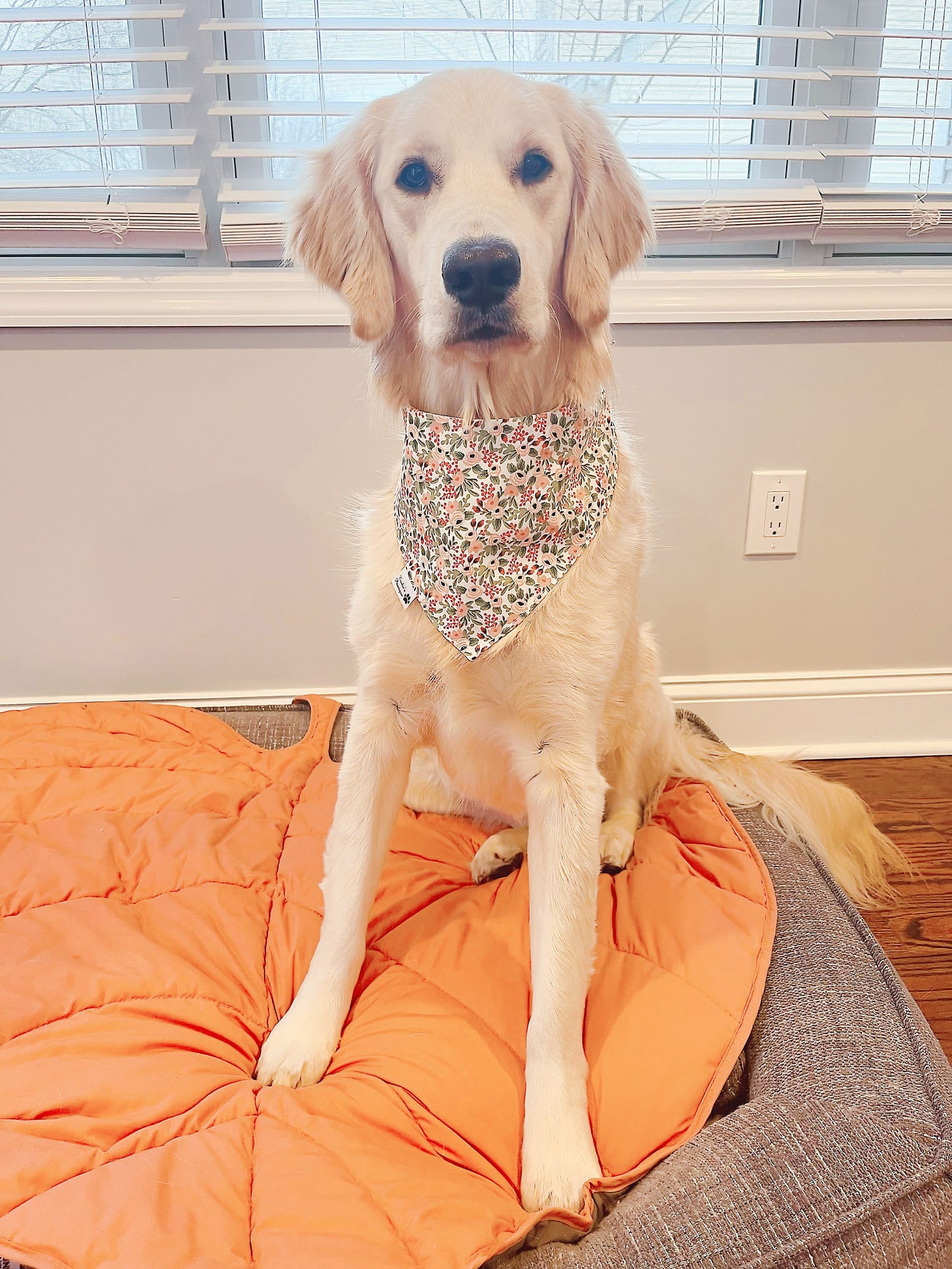 Rose Garden Bandana