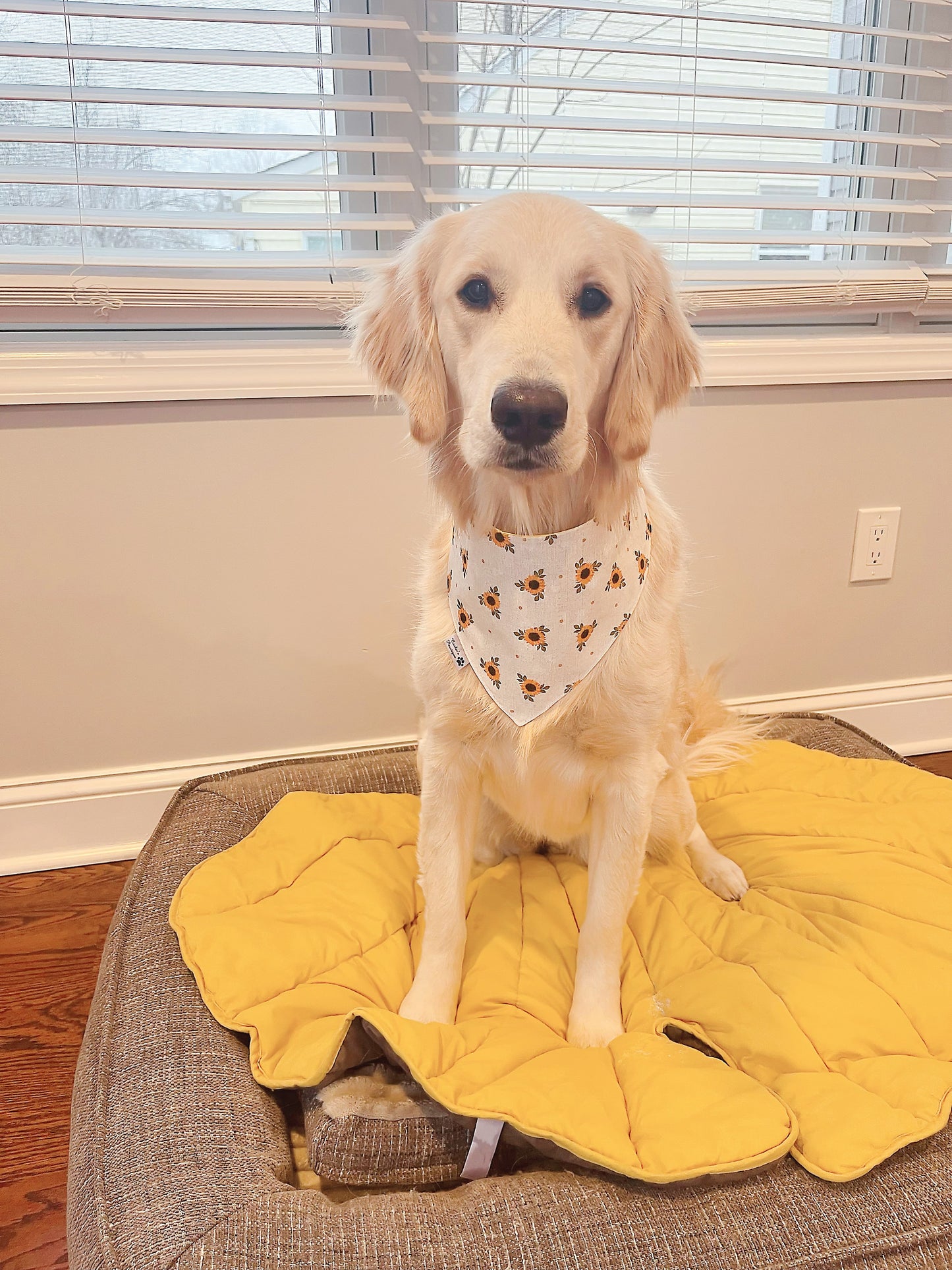 Little Bee And Sunflower Bandana