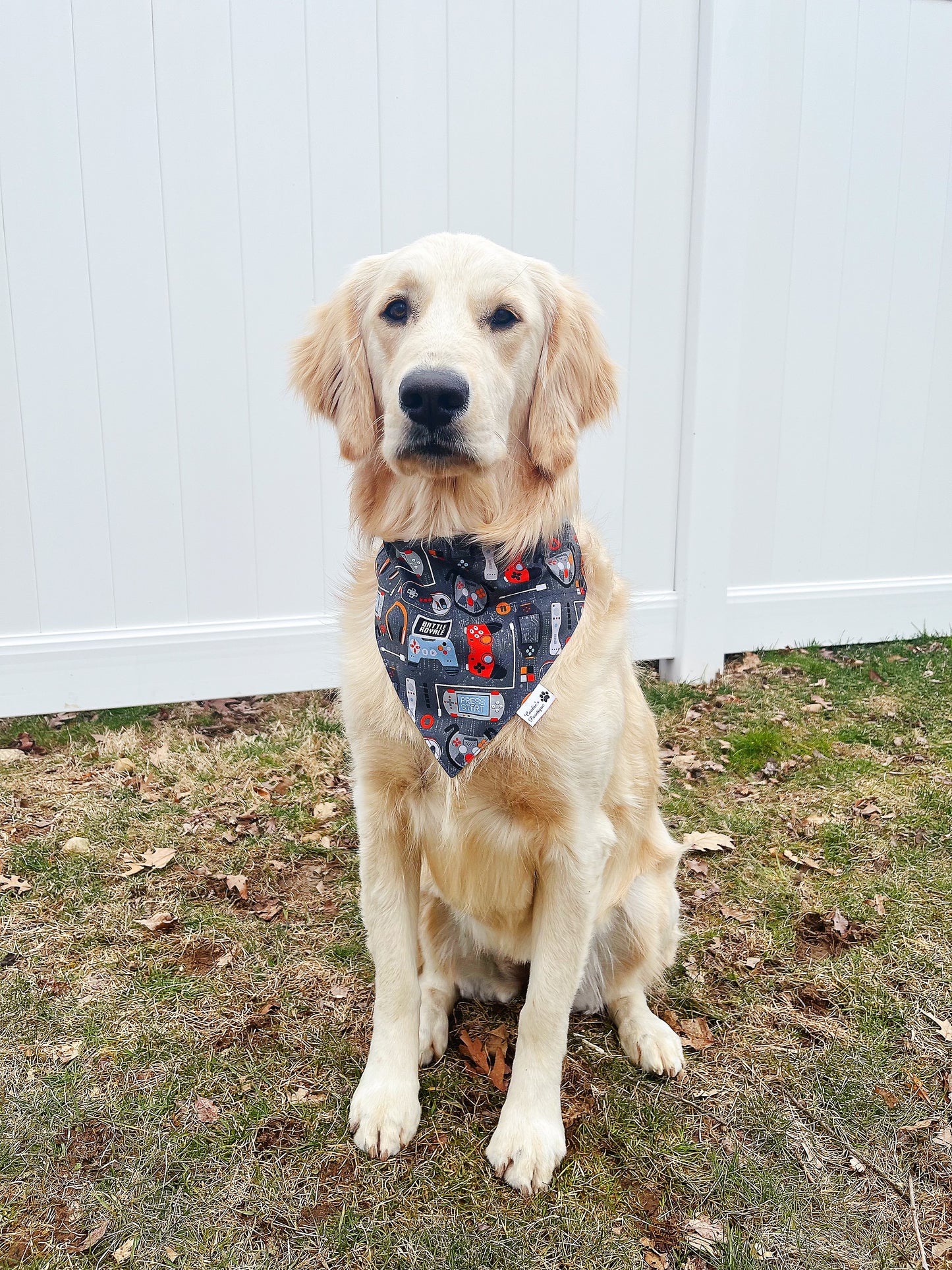 It's Game Time Bandana