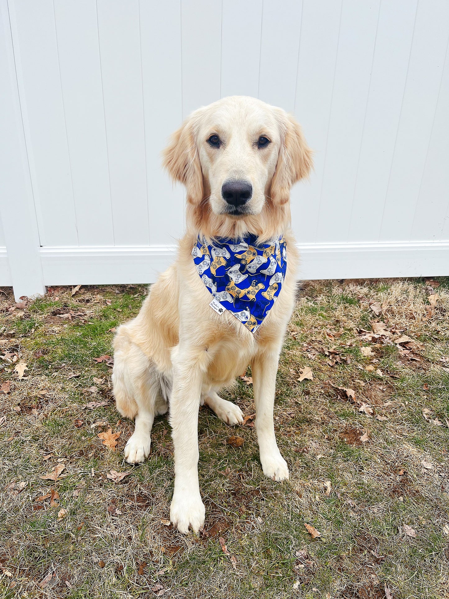 It's Game Time Bandana