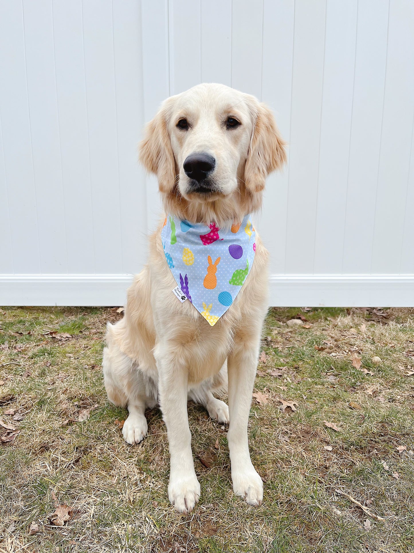 Easter Bunny Candy Bandana
