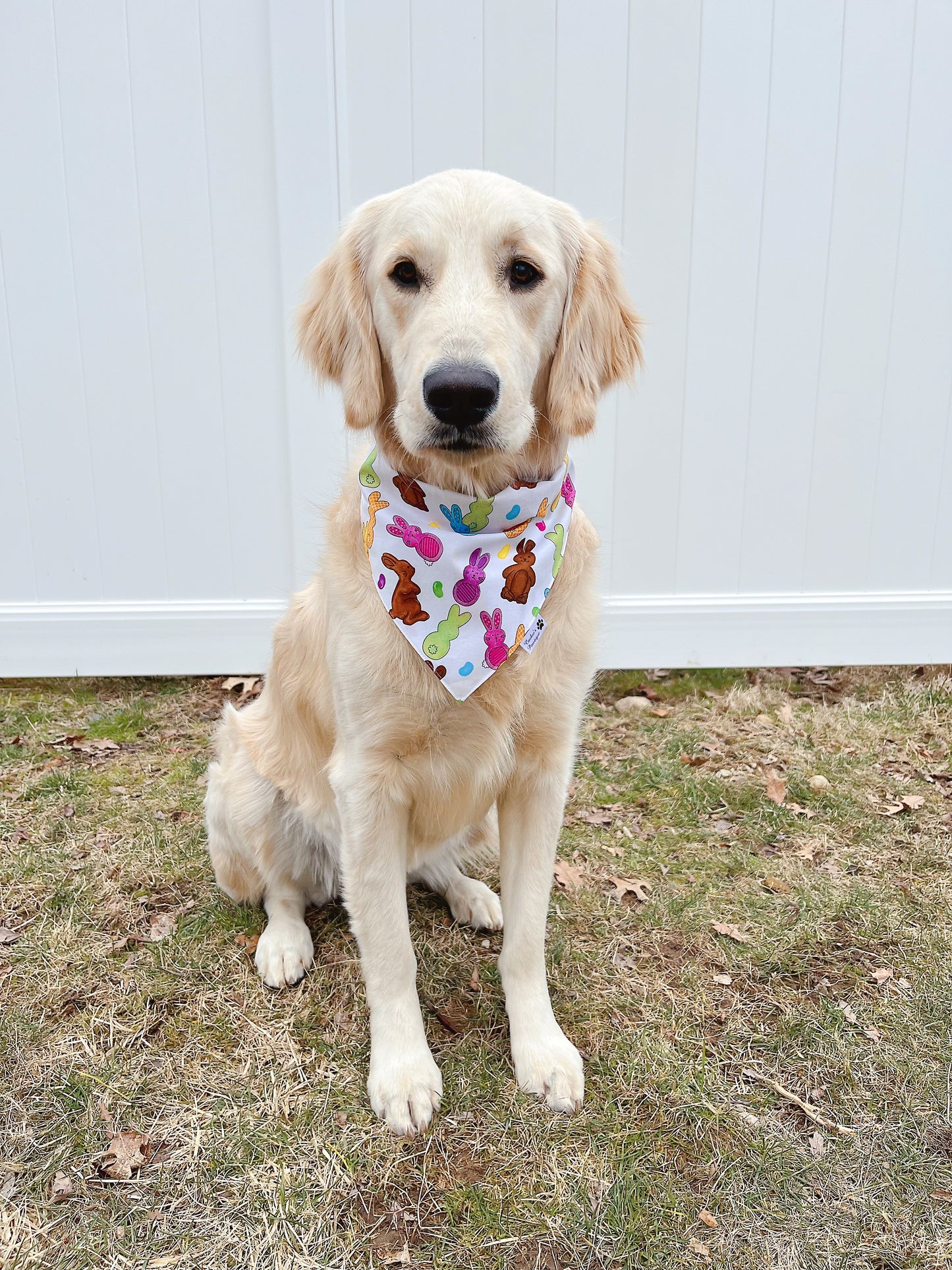 Easter Bunny Candy Bandana