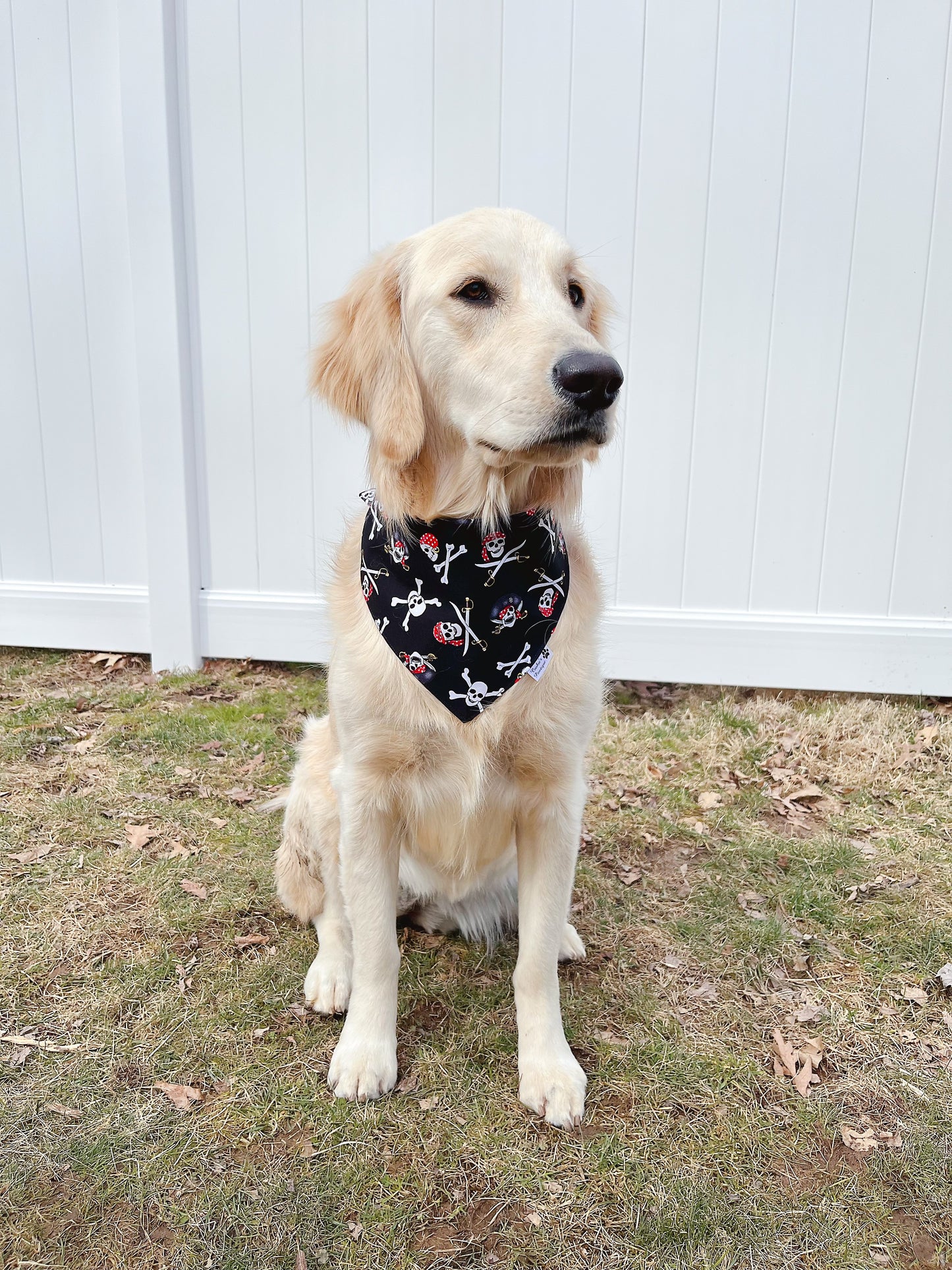 Pirate Skulls and Roses Bandana
