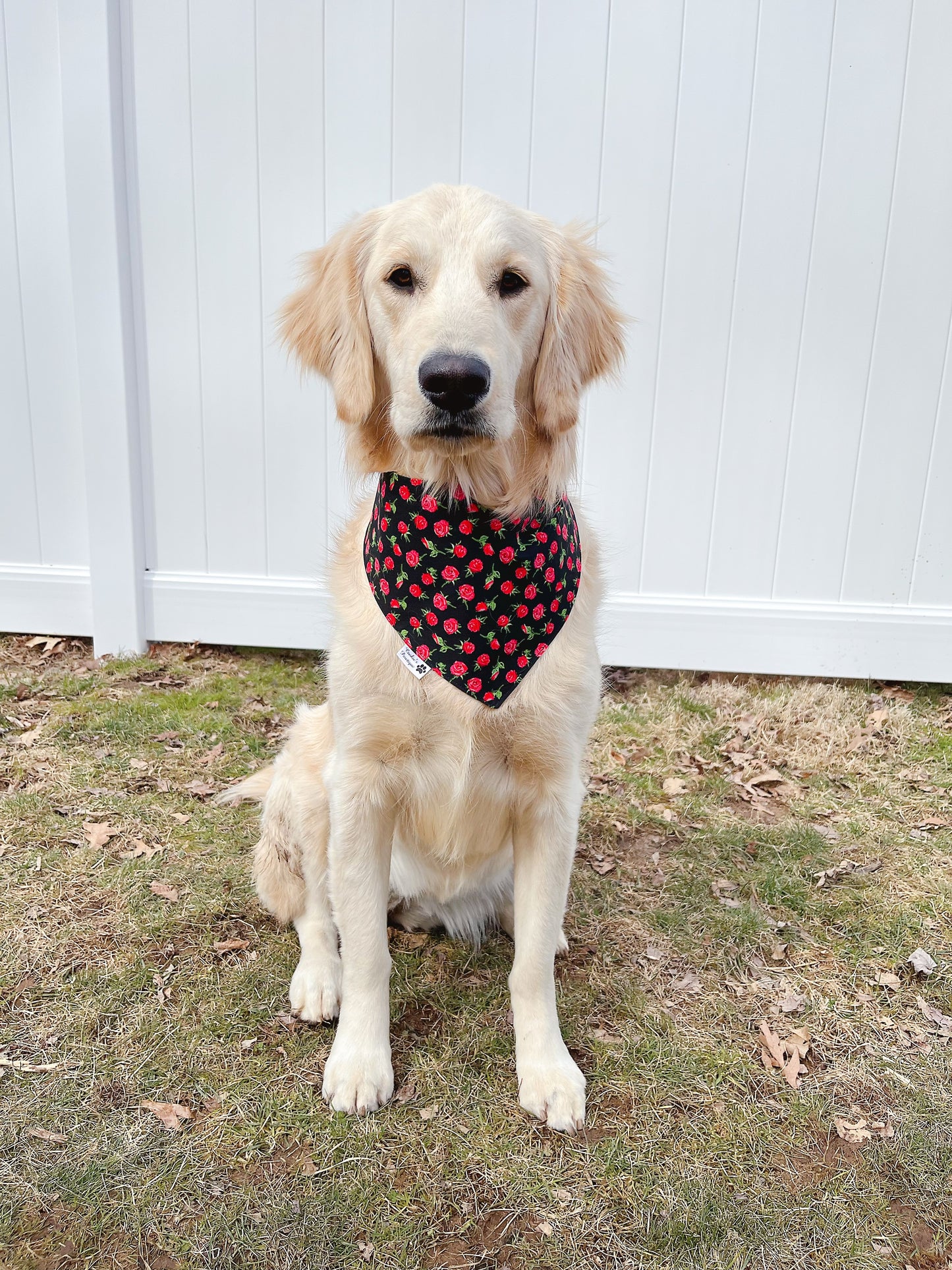 Pirate Skulls and Roses Bandana