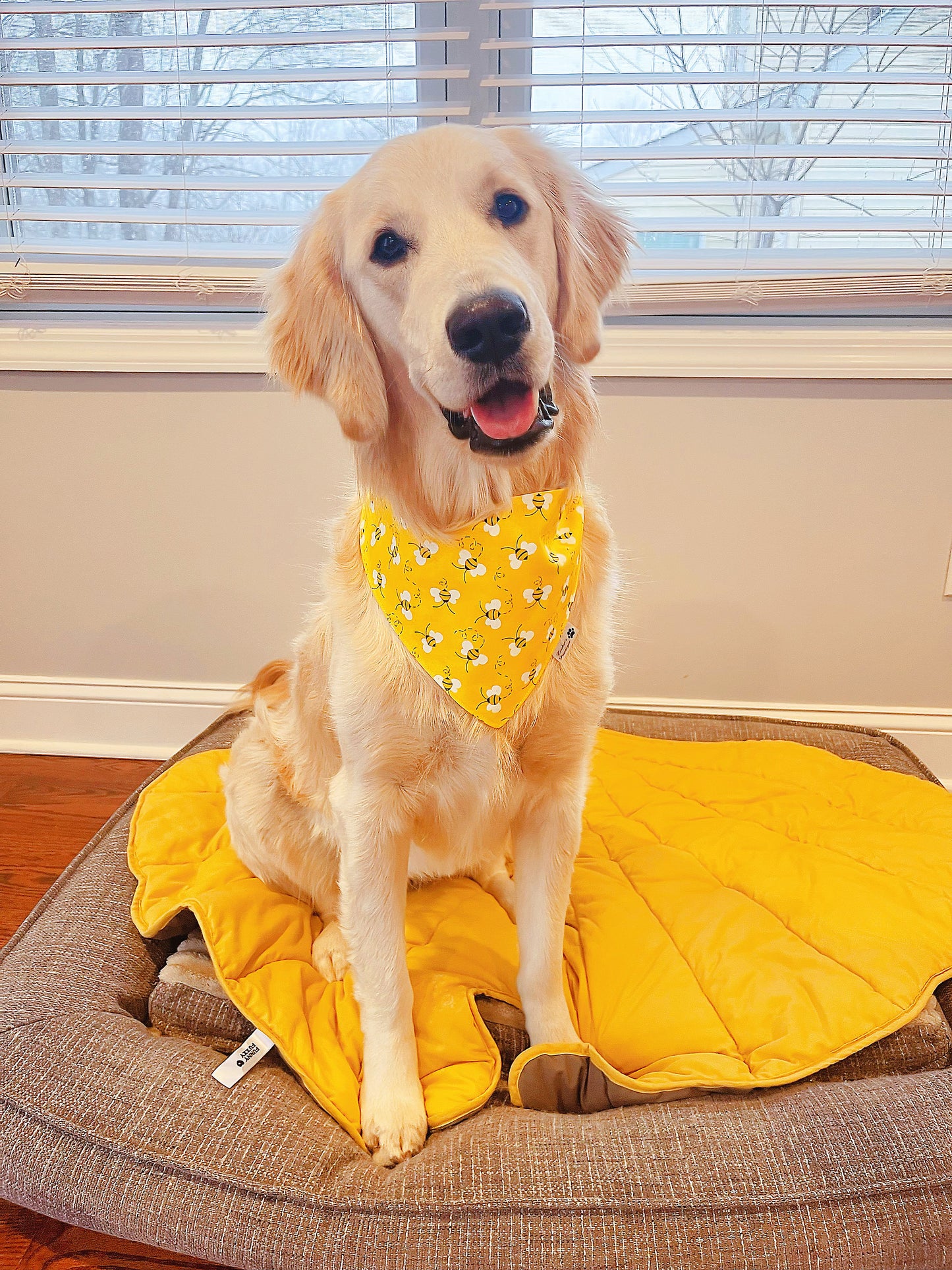Little Bee And Sunflower Bandana