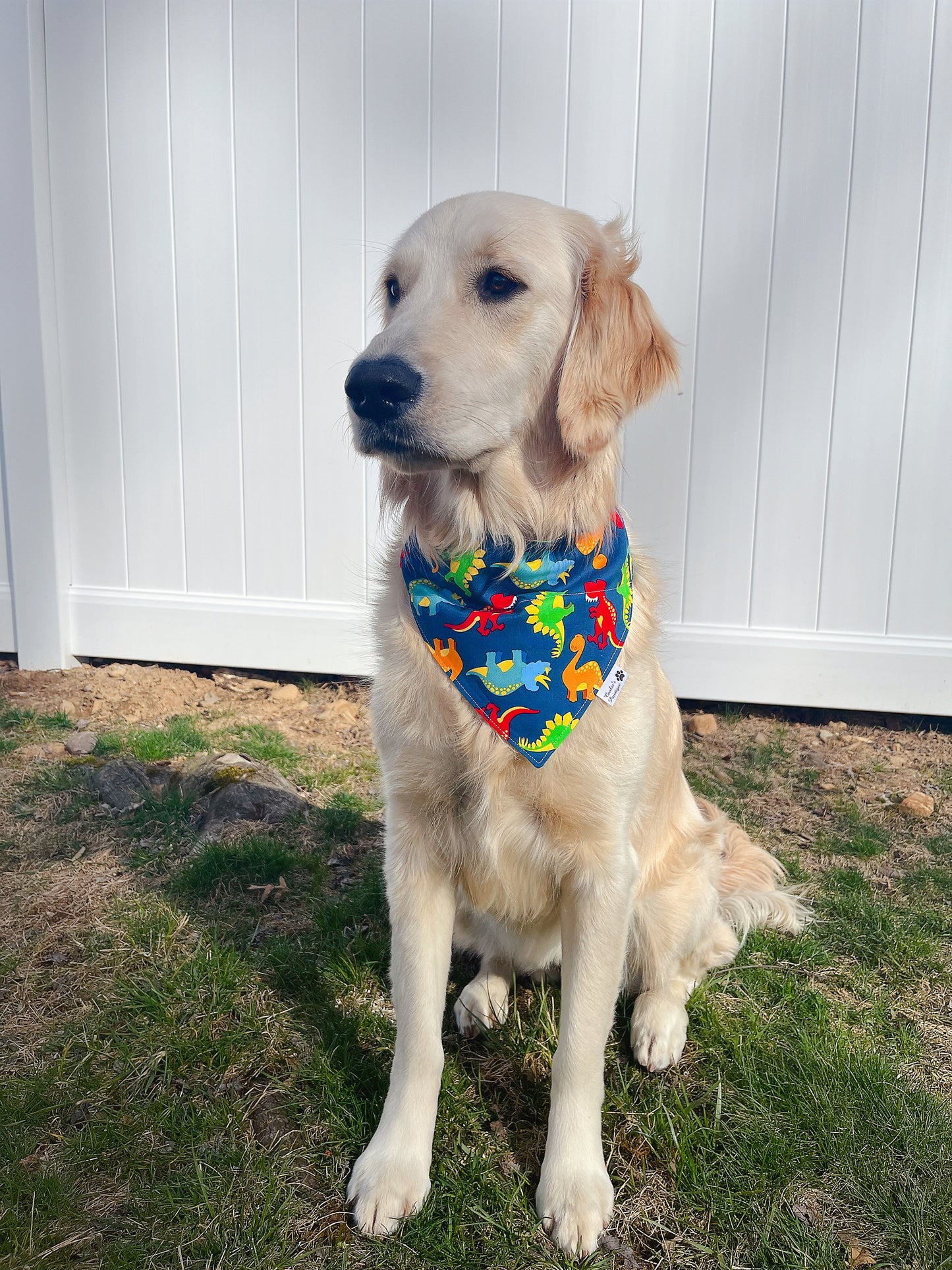 Cute and Surfing Dino Bandana