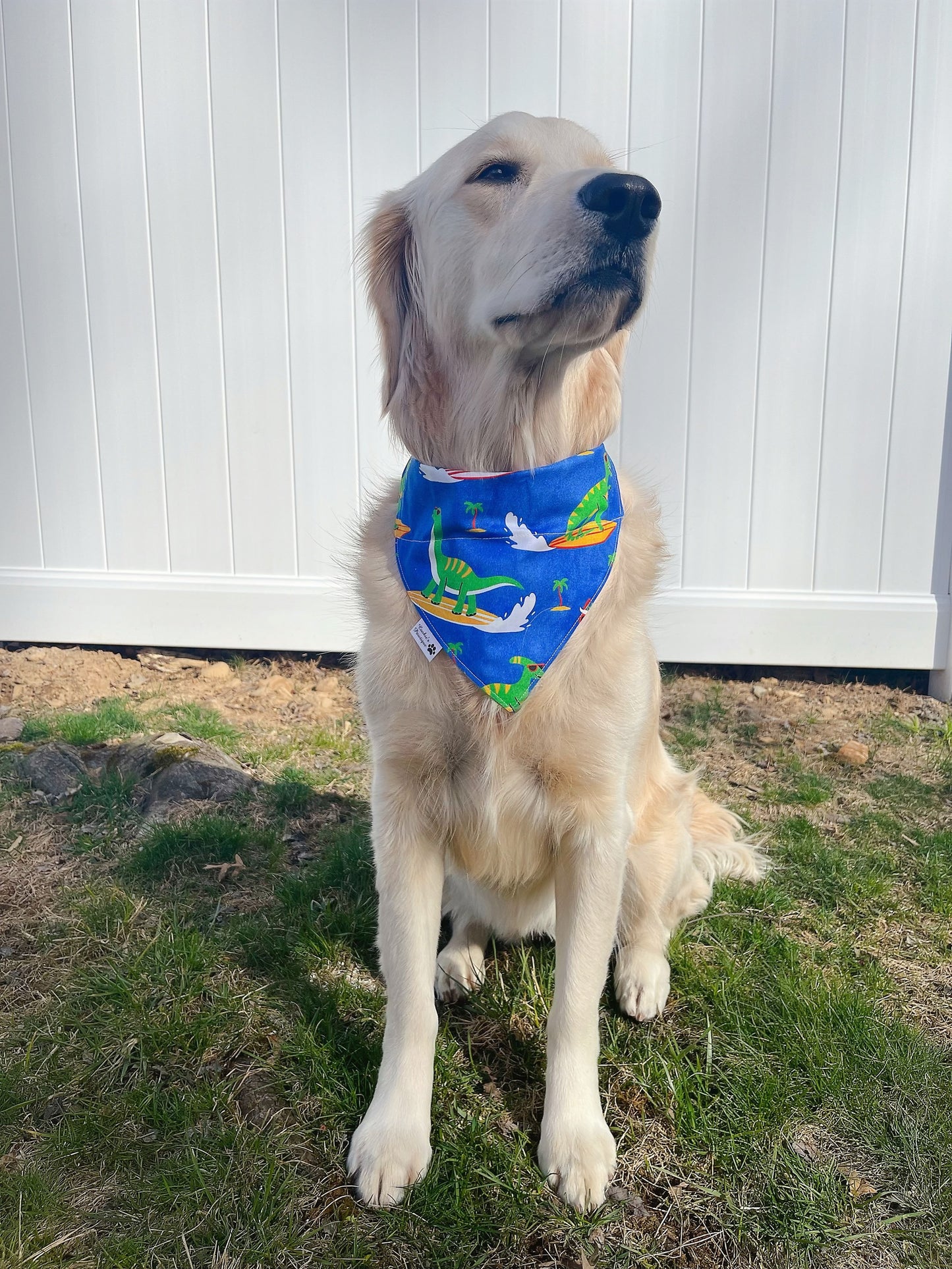 Cute and Surfing Dino Bandana