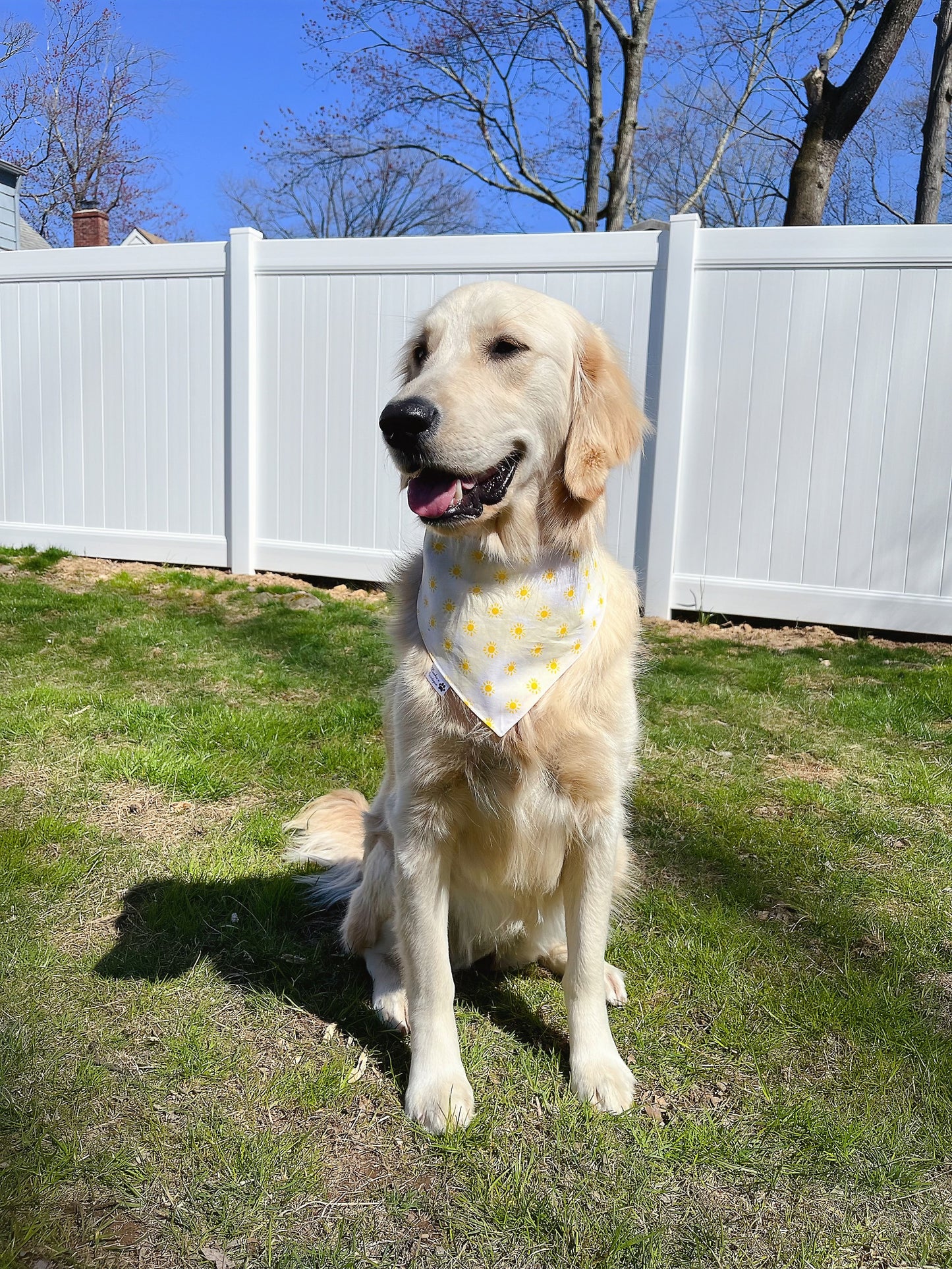 Suns Out Tongues Out Bandana
