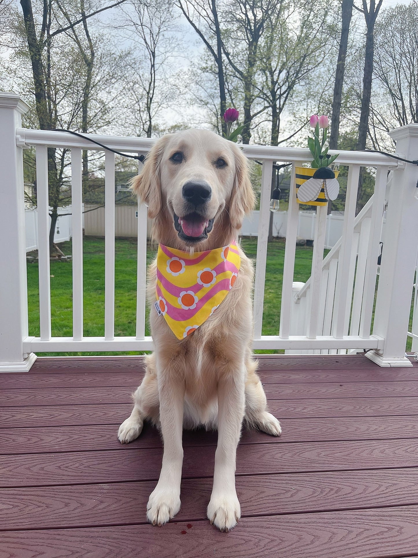 Groovy Retro Floral Bandana