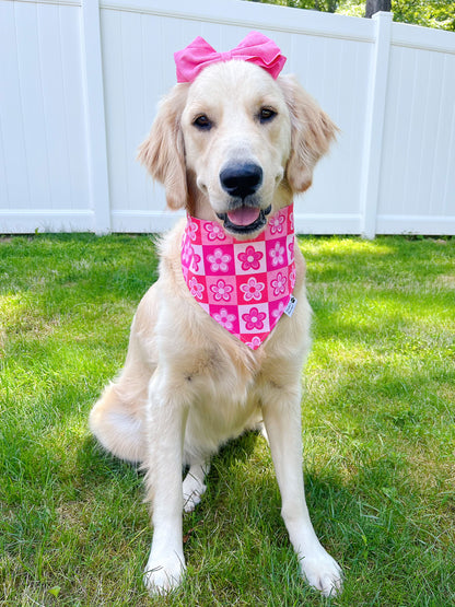 Pink Checkerboard Floral And Cheetah Bandana