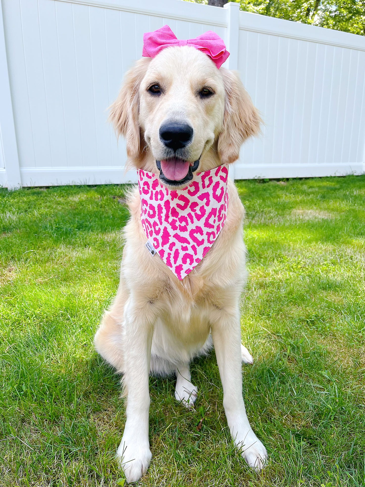 Pink Checkerboard Floral And Cheetah Bandana