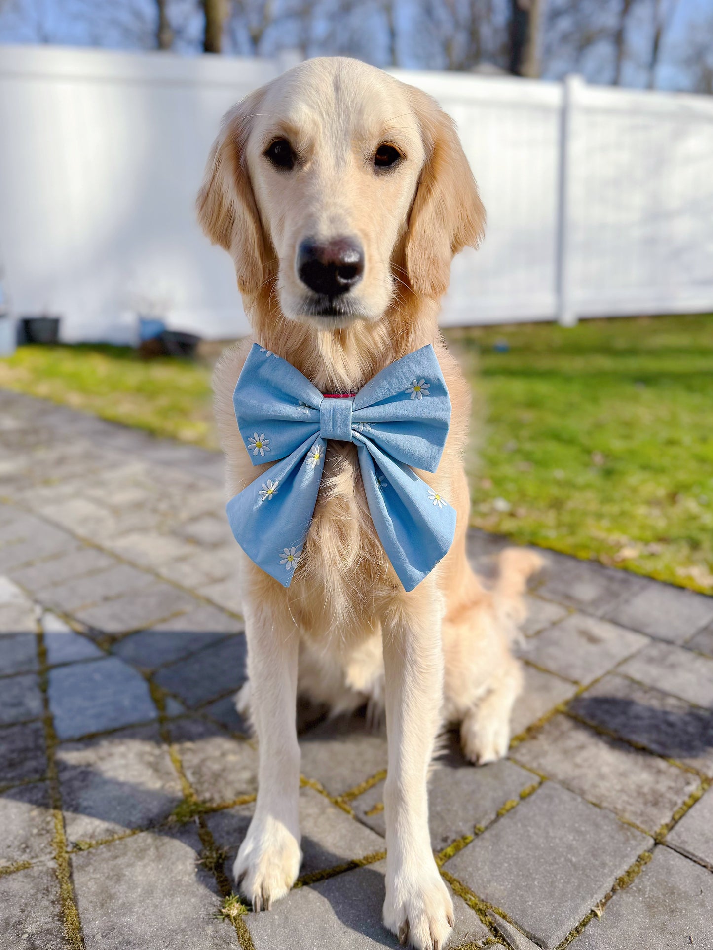 Blue Daisies Bow