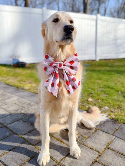 Pink Strawberries Bow