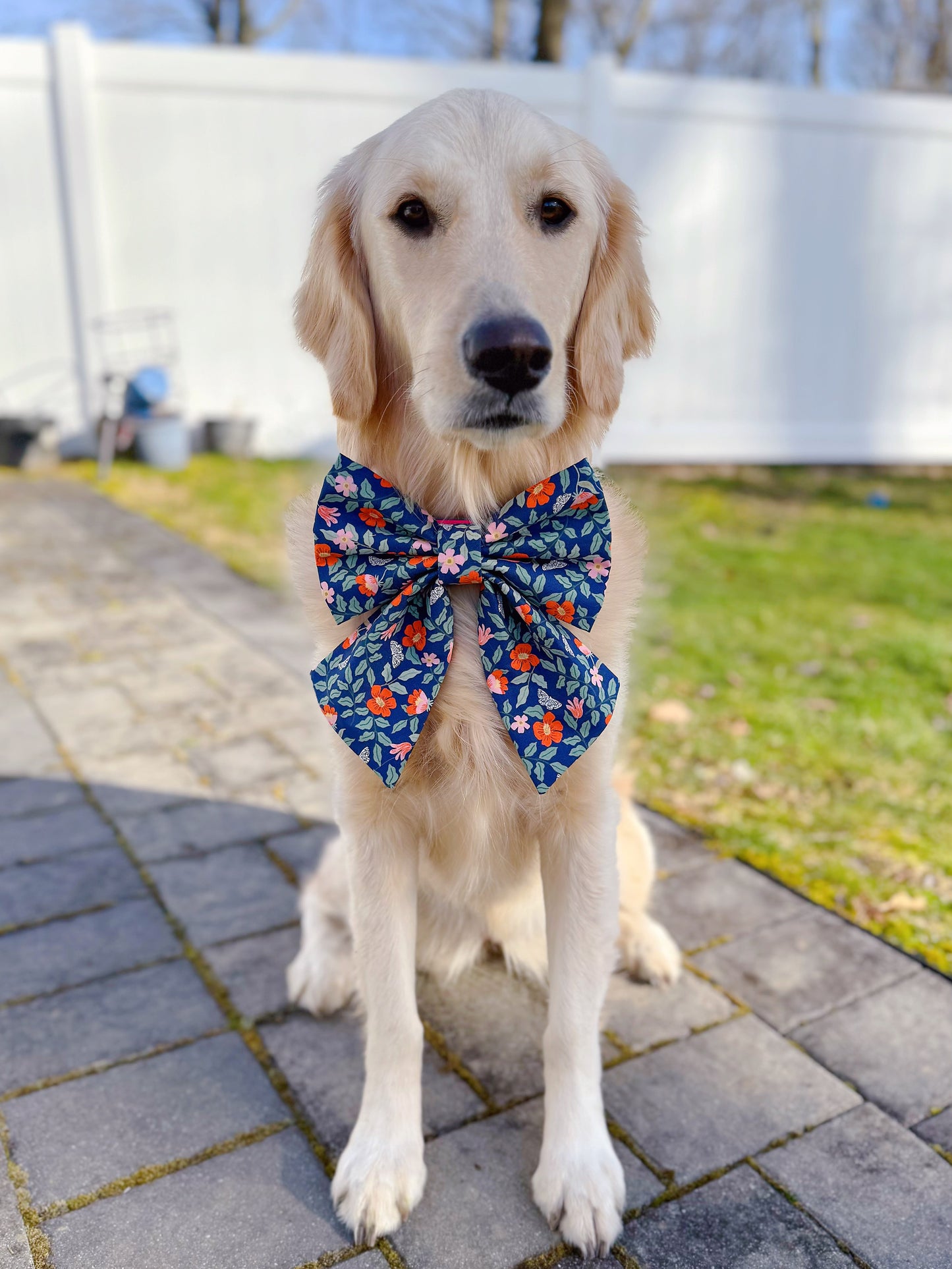 Primrose in Navy Bow