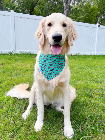 So Fetch And Tug Of War Champ Bandana