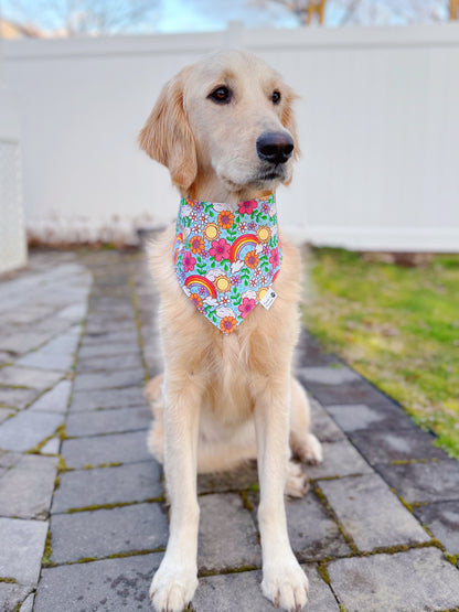 Rainbow Floral And Butterflies Bandana