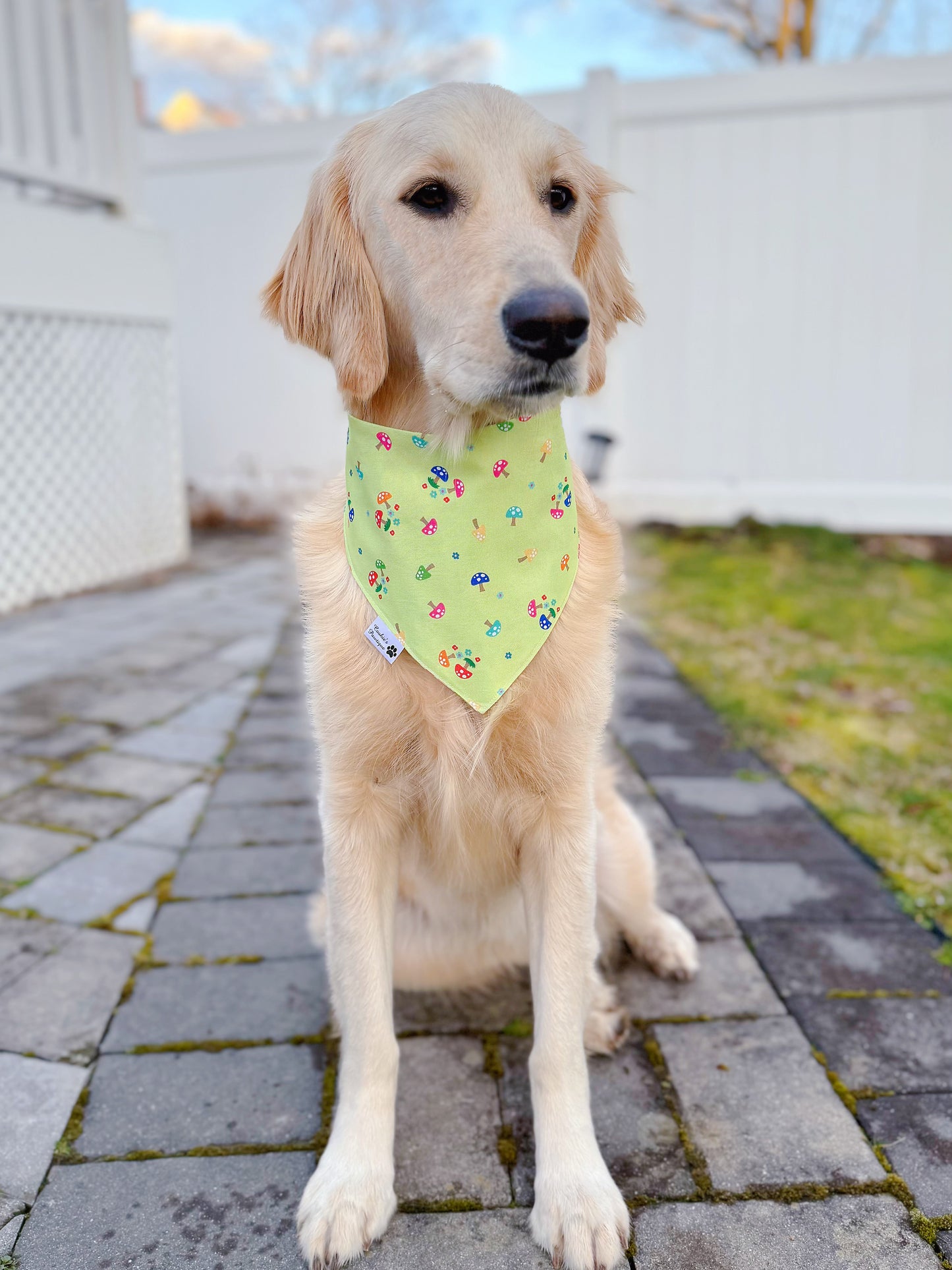 Froggy Forest Bandana