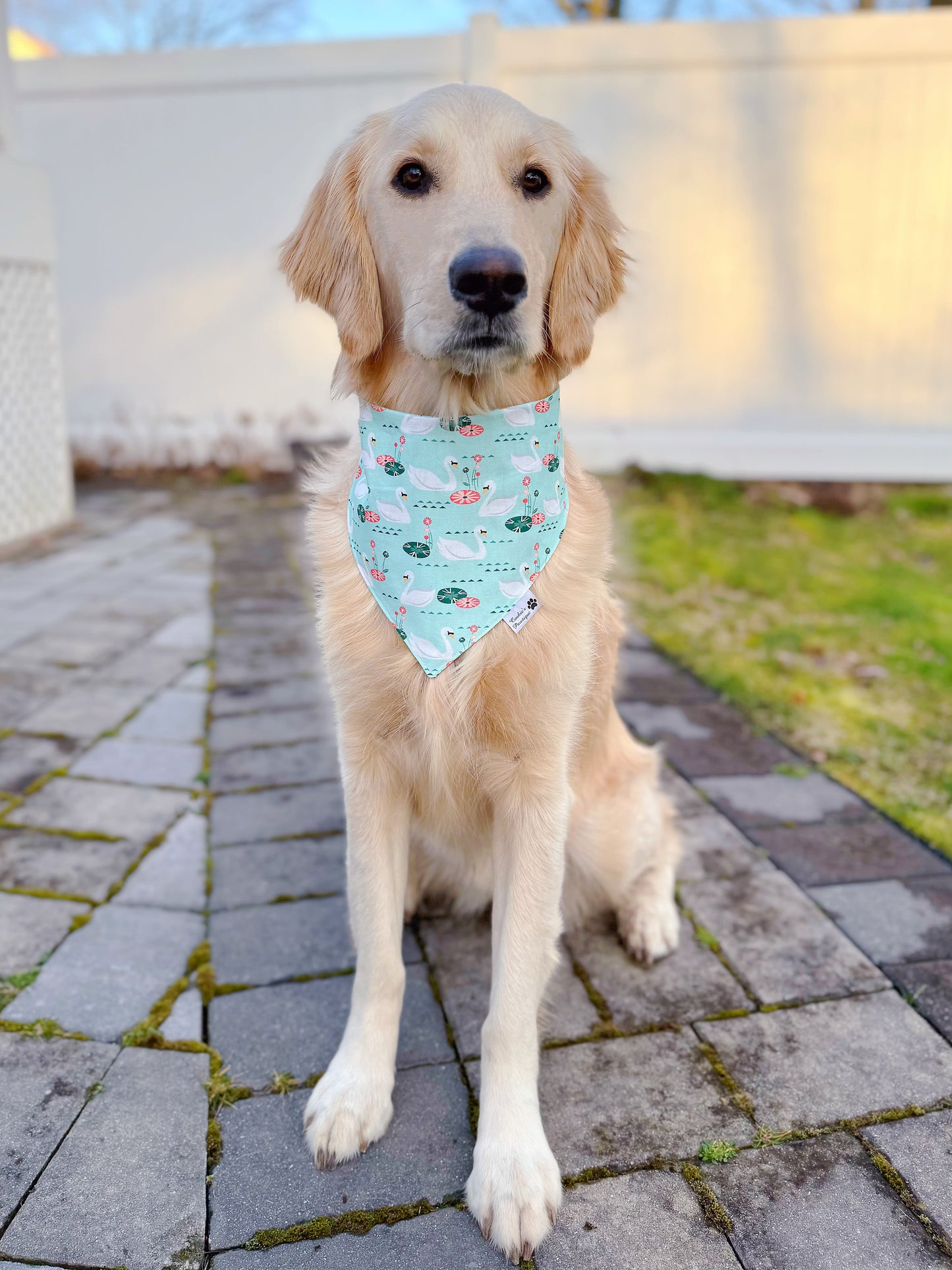 Lakeside Swans Bandana