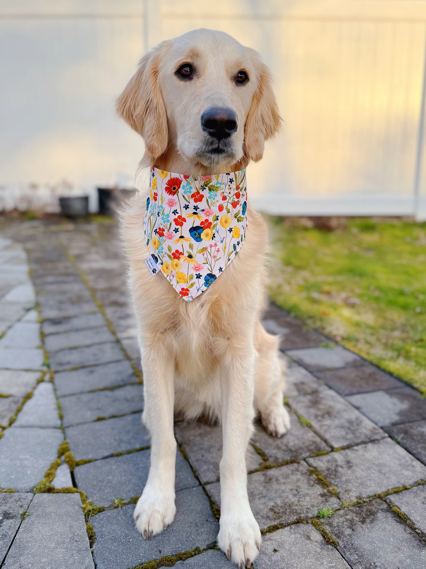 Butterflies And Wildflowers Bandana