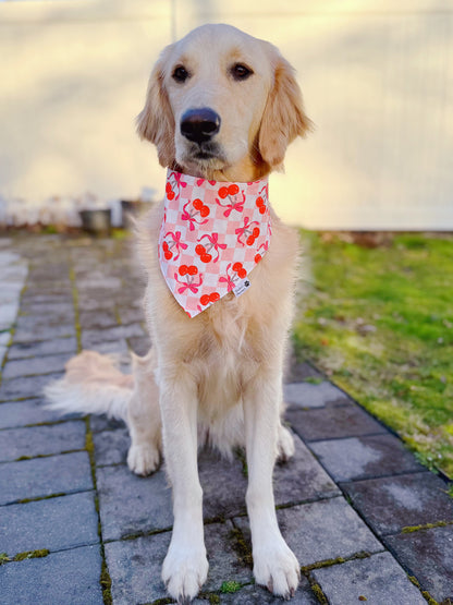 Cute Cherries Bandana