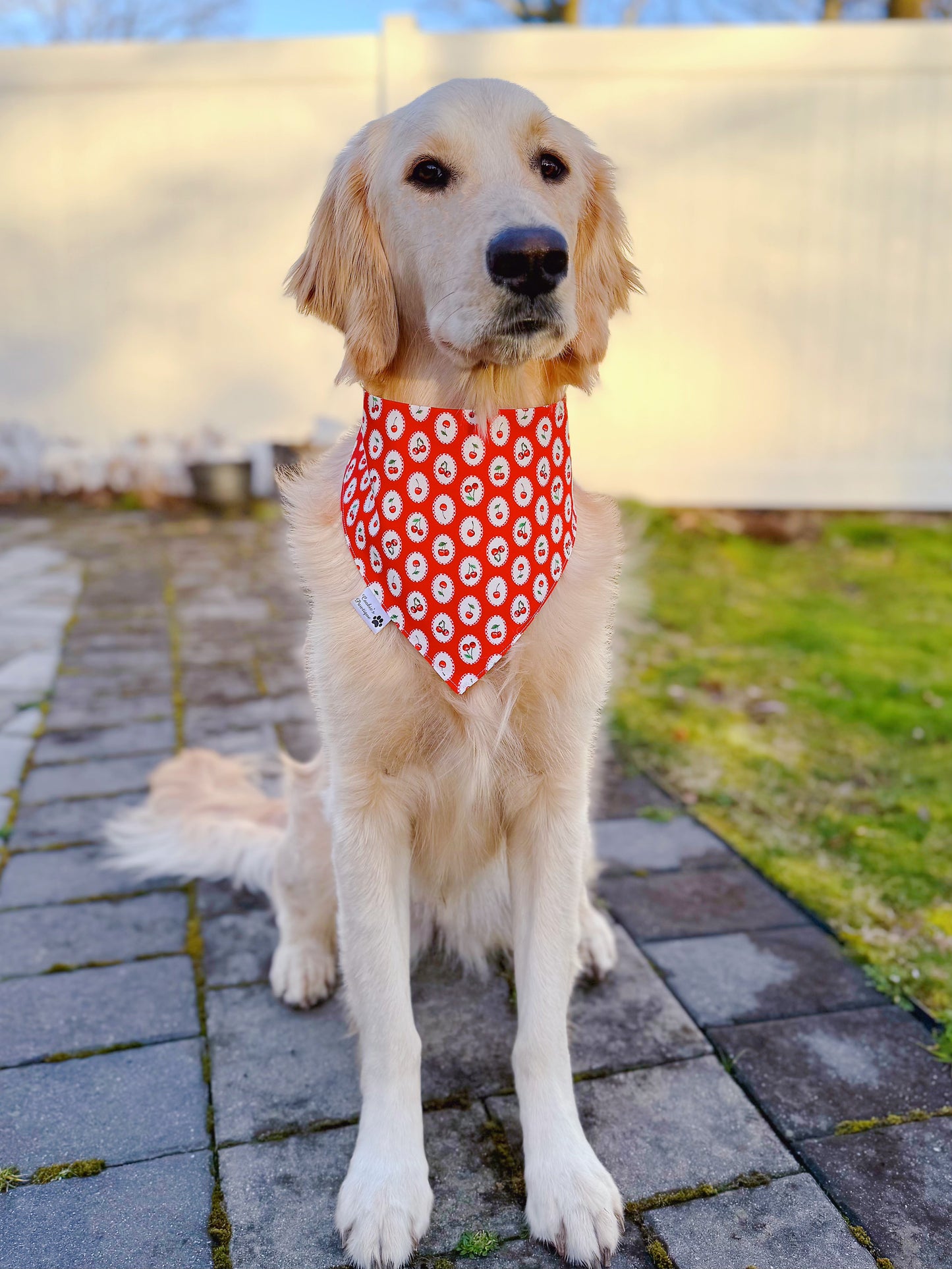 Cute Cherries Bandana