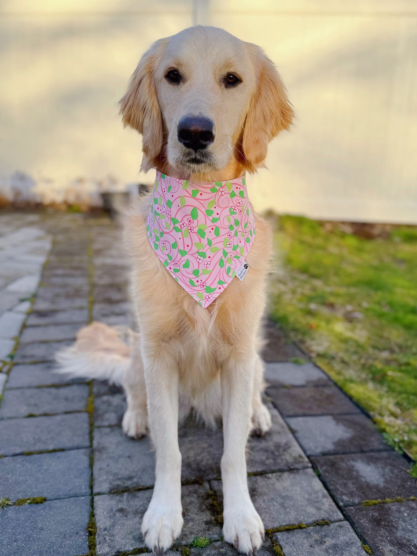 Water Lilies Bandana