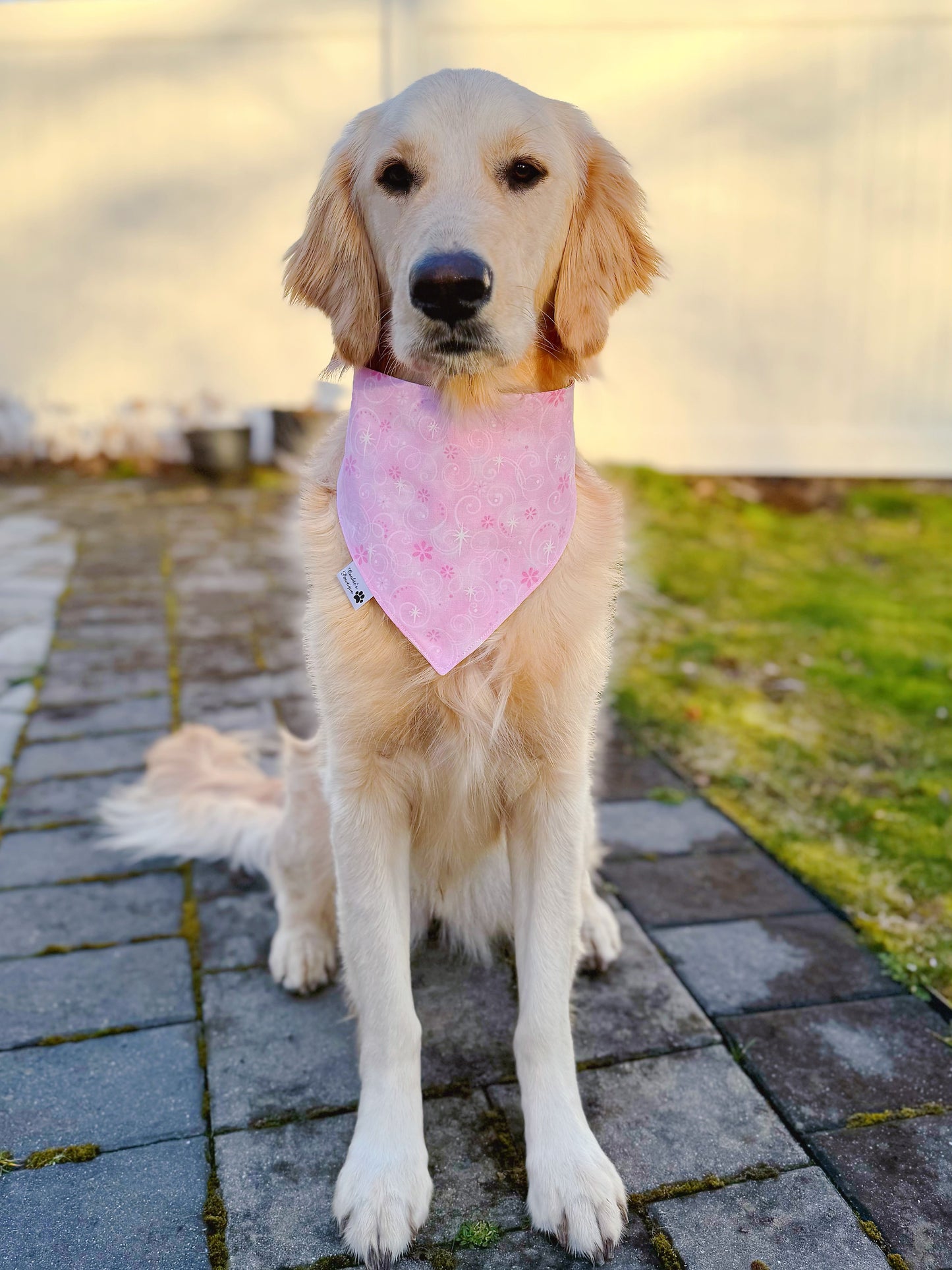 Water Lilies Bandana