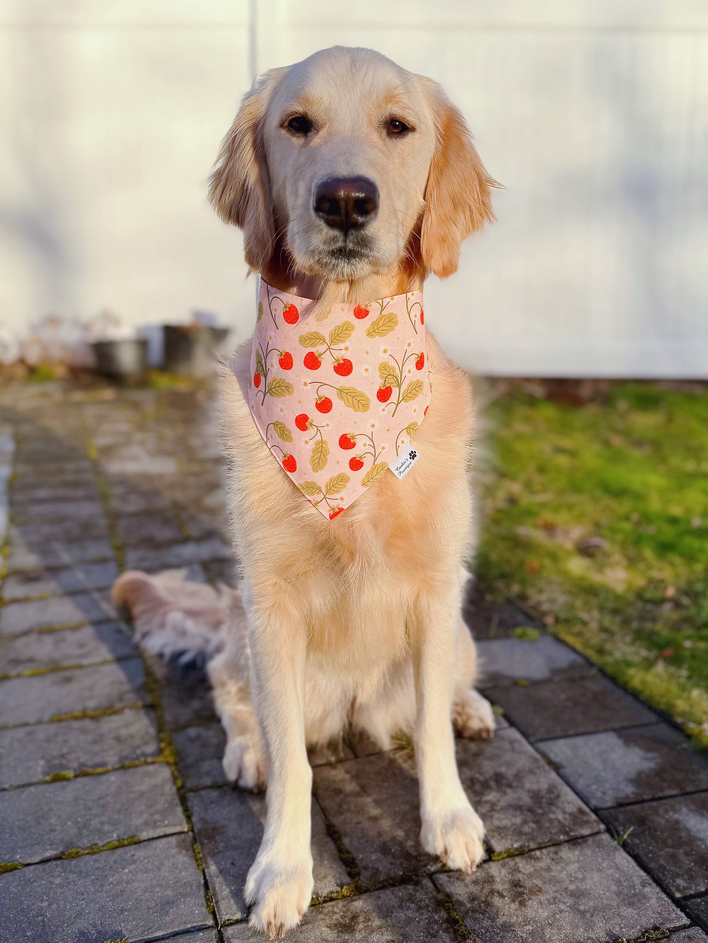 Sweet Strawberries Bandana