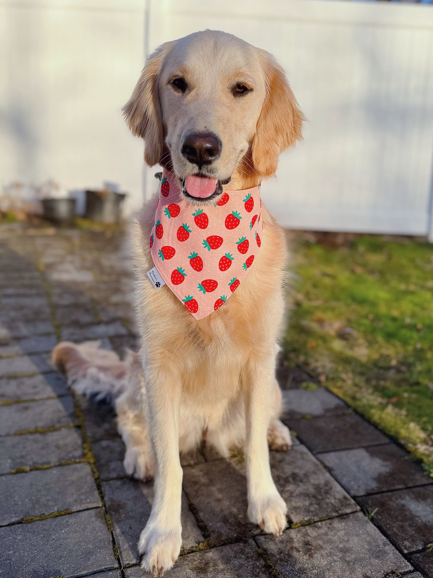 Sweet Strawberries Bandana