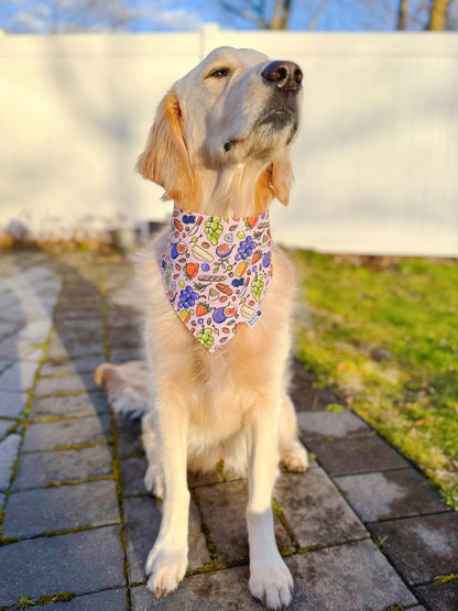 Picnic Time Bandana