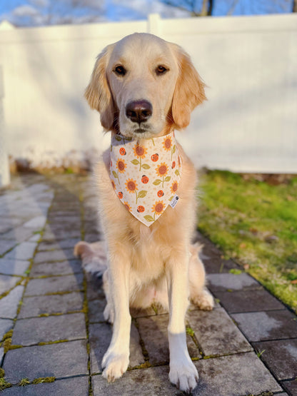 Cute Sunflowers Bandana