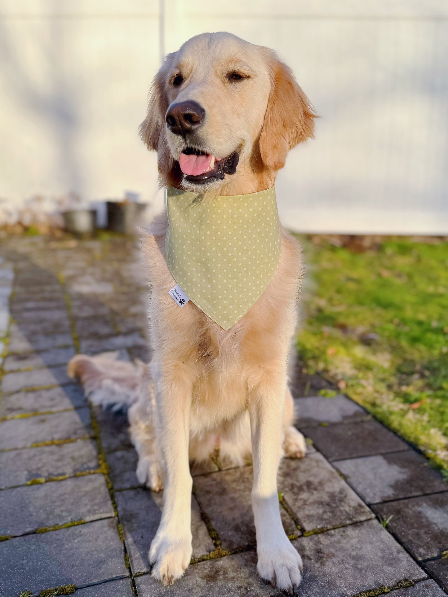 Cute Sunflowers Bandana