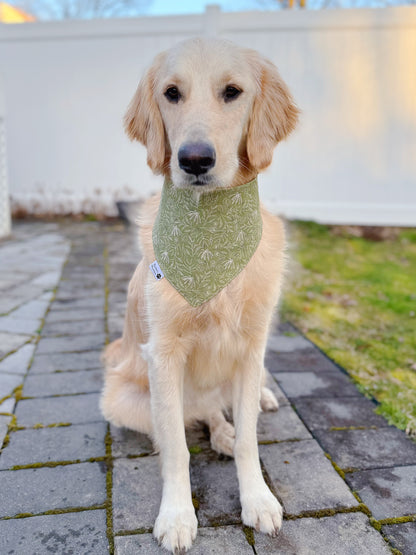 Woodland Gnomes Bandana