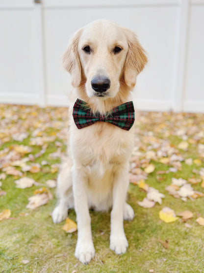 Red and Green Tartan Plaid Bow