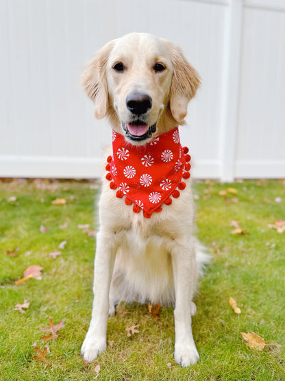 Merry Mingle Dots and Peppermints Flannel Bandana