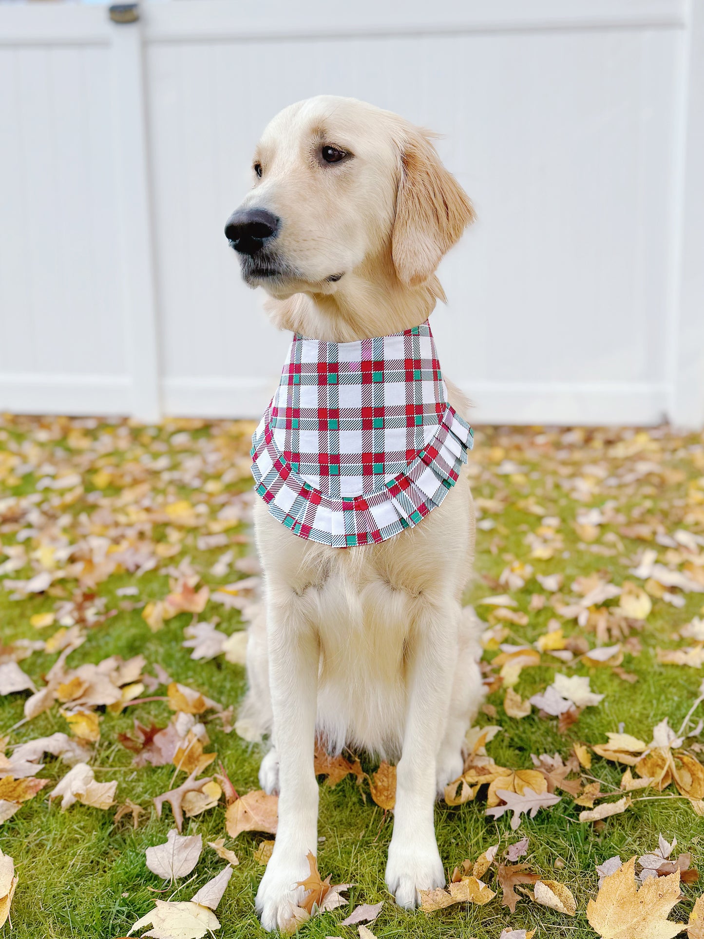 Christmas Teddy Bears and Plaid Bandana