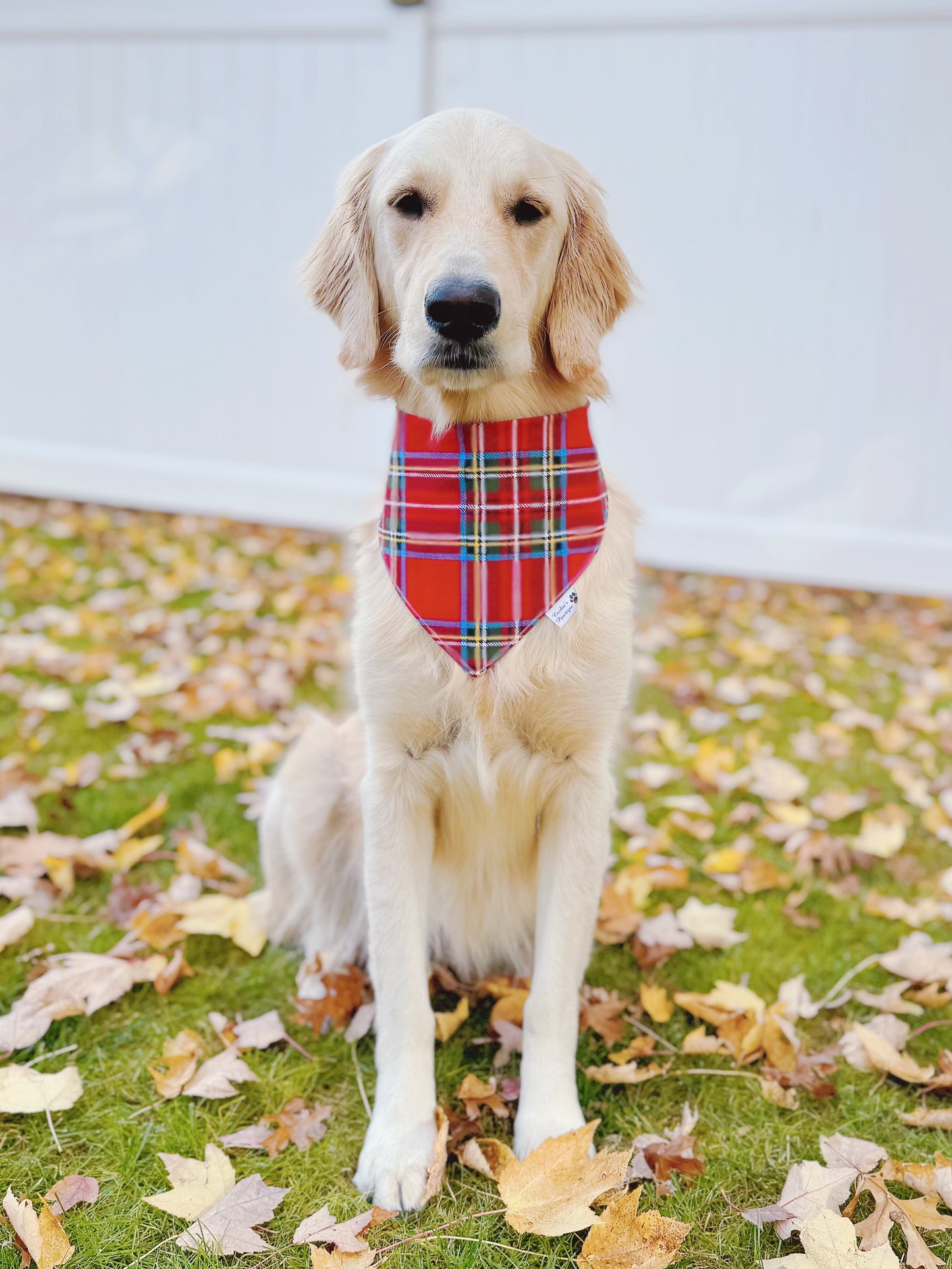 Christmas Plaid and Red Buffalo Checks Bandana