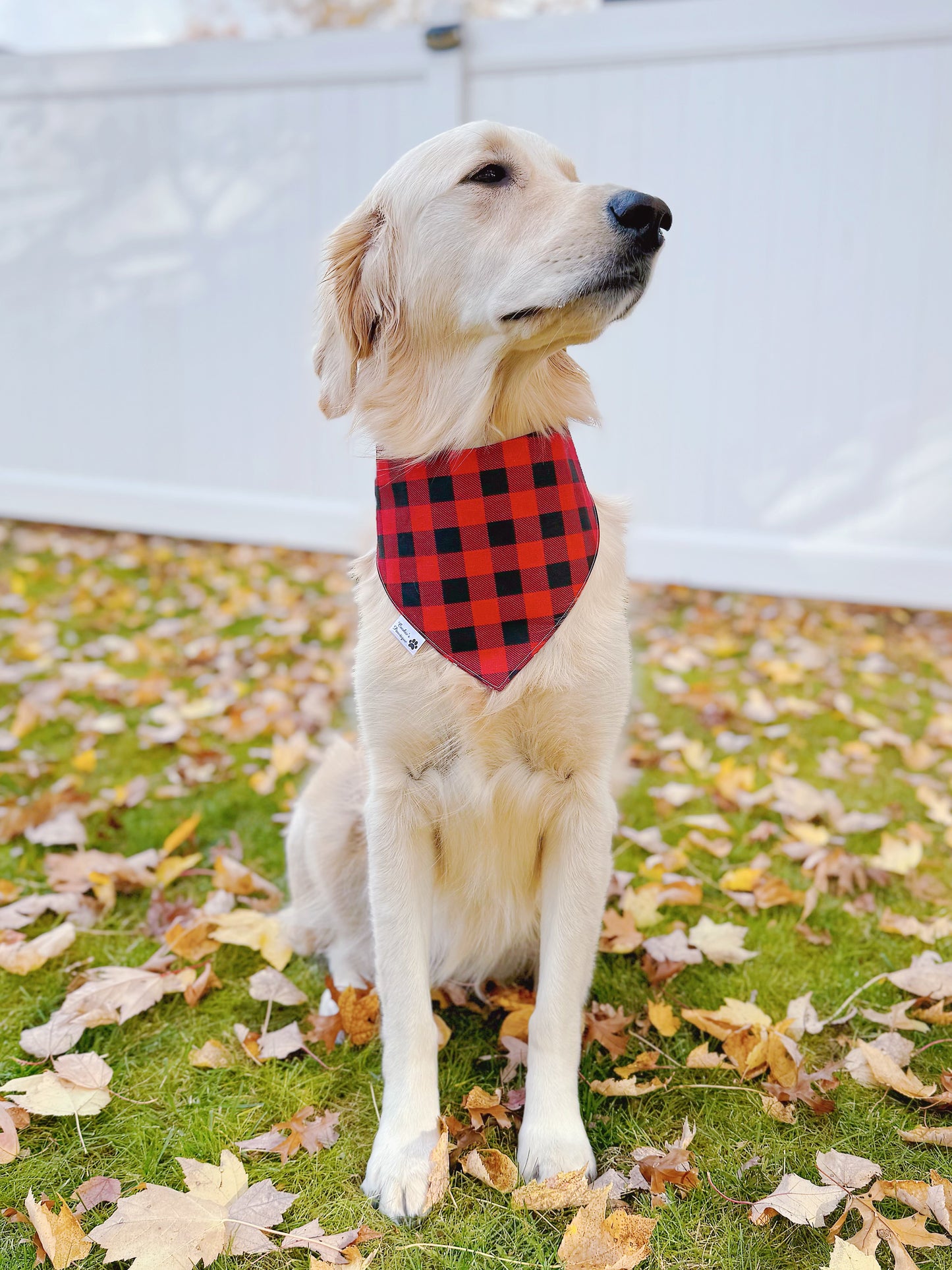 Christmas Plaid and Red Buffalo Checks Bandana