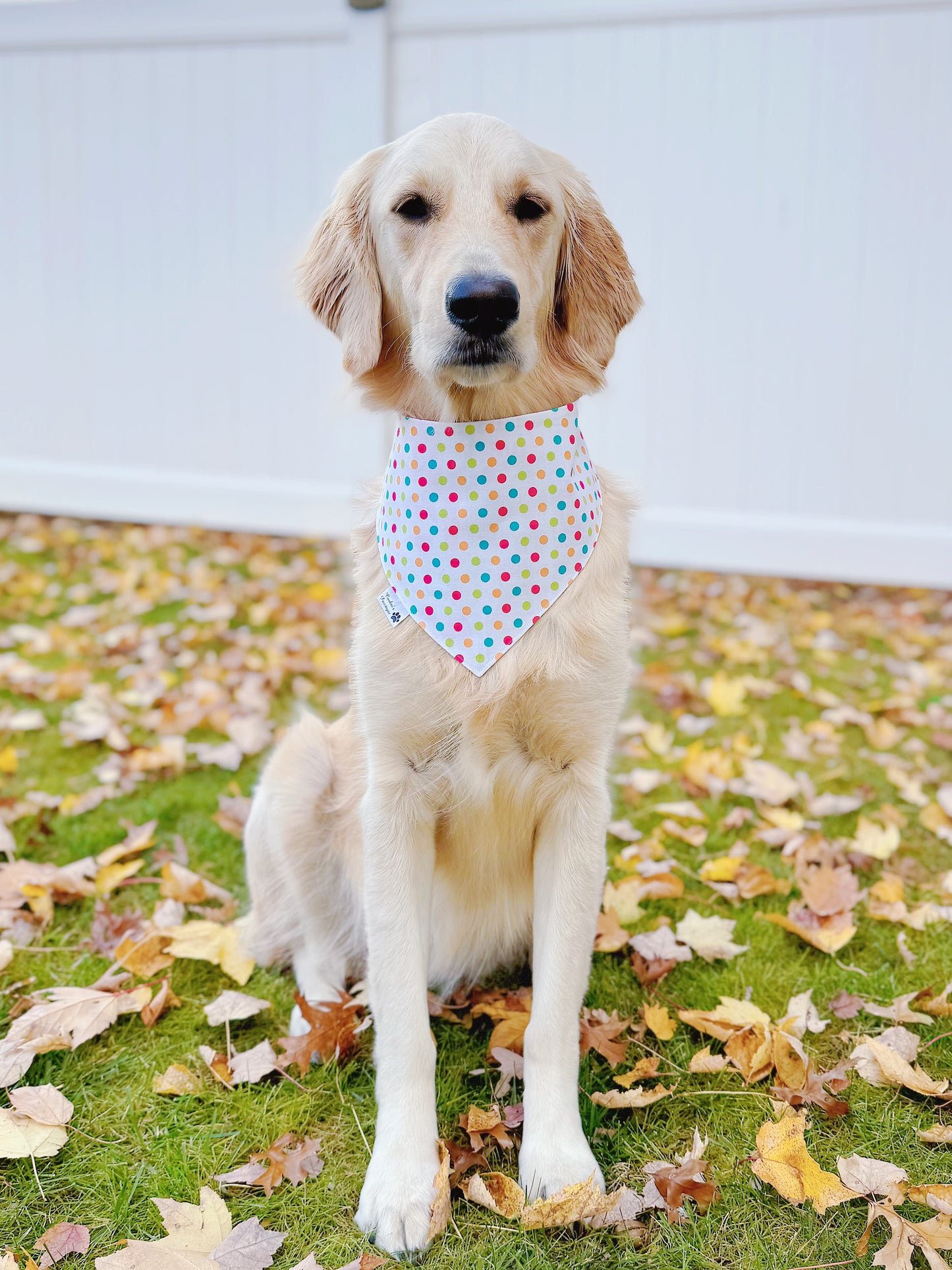 Grinchmas Patchwork Bandana