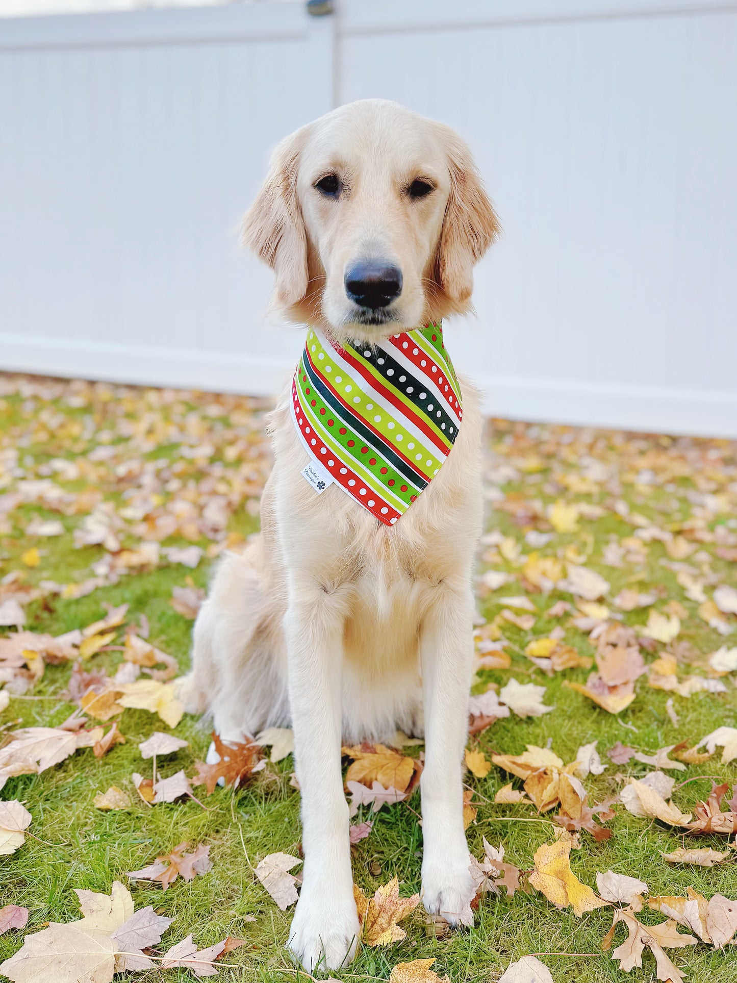 Feeling Grinchy Bandana