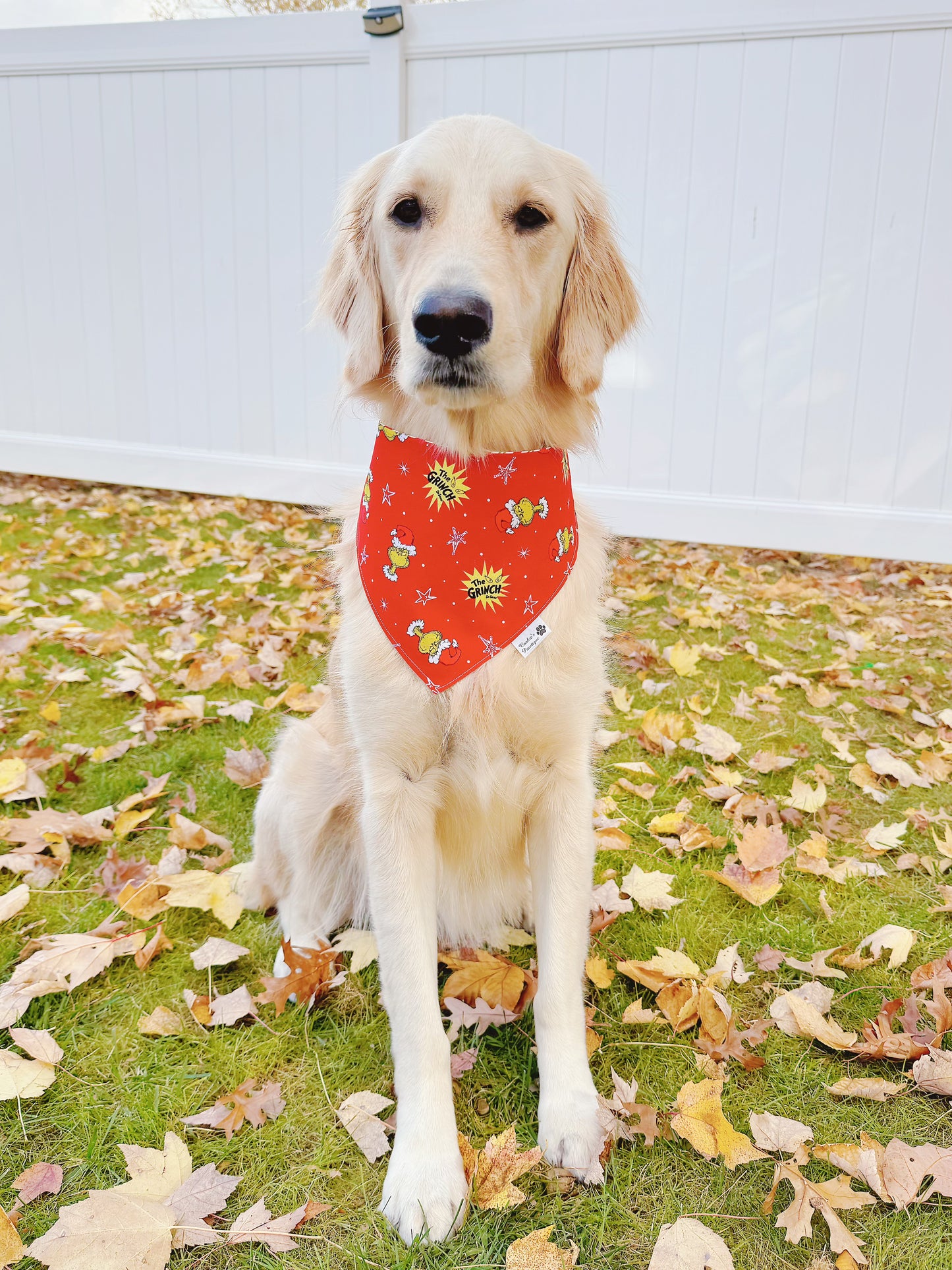 Red Starry Grinchmas Bandana