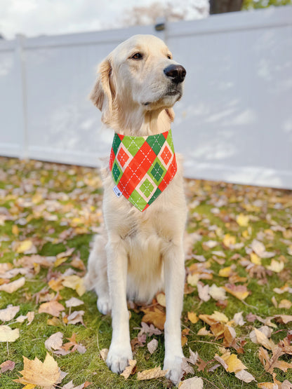 Grinchmas and Gifts Bandana