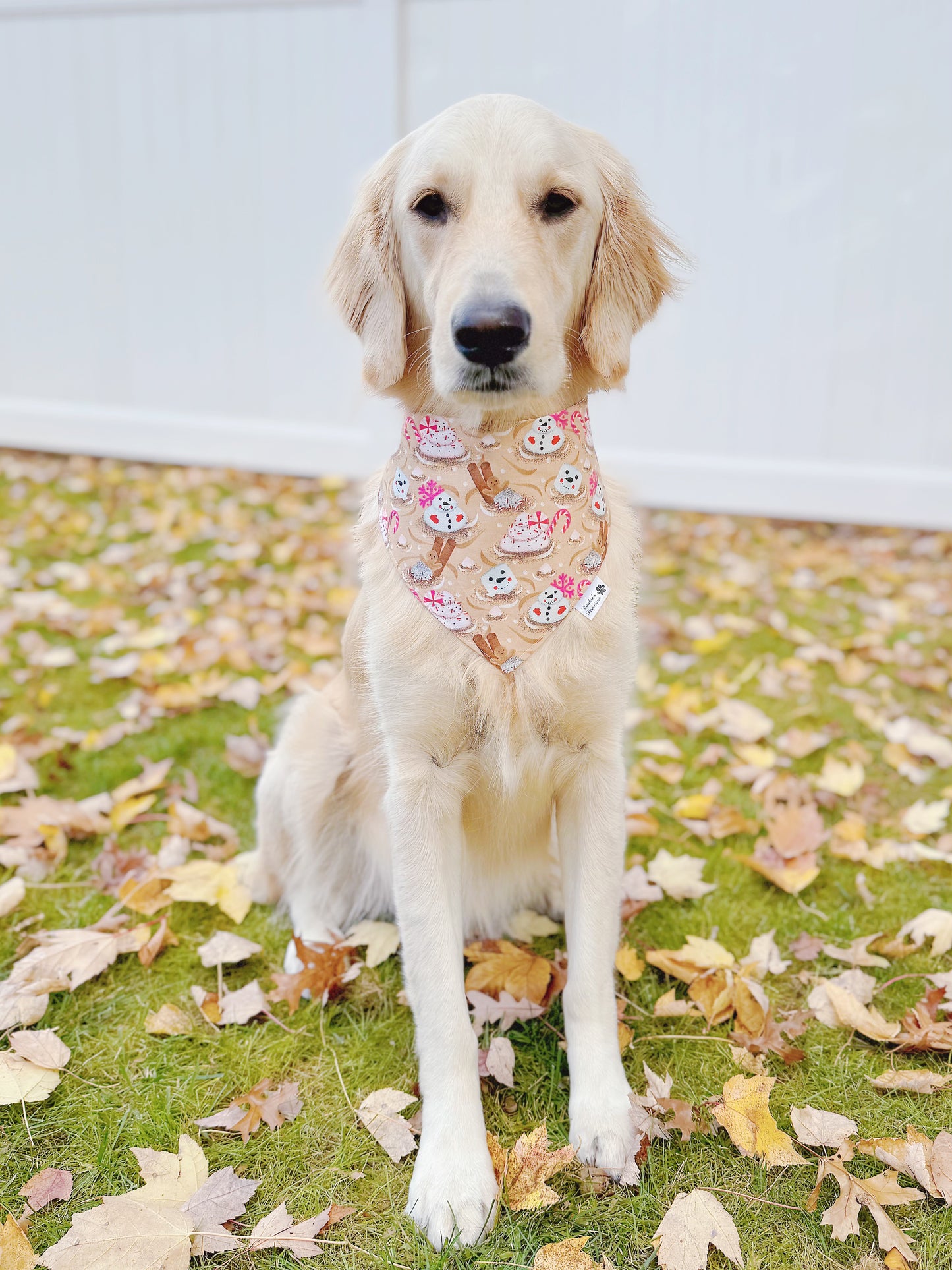 Marshmallows And Gingerbread Bandana