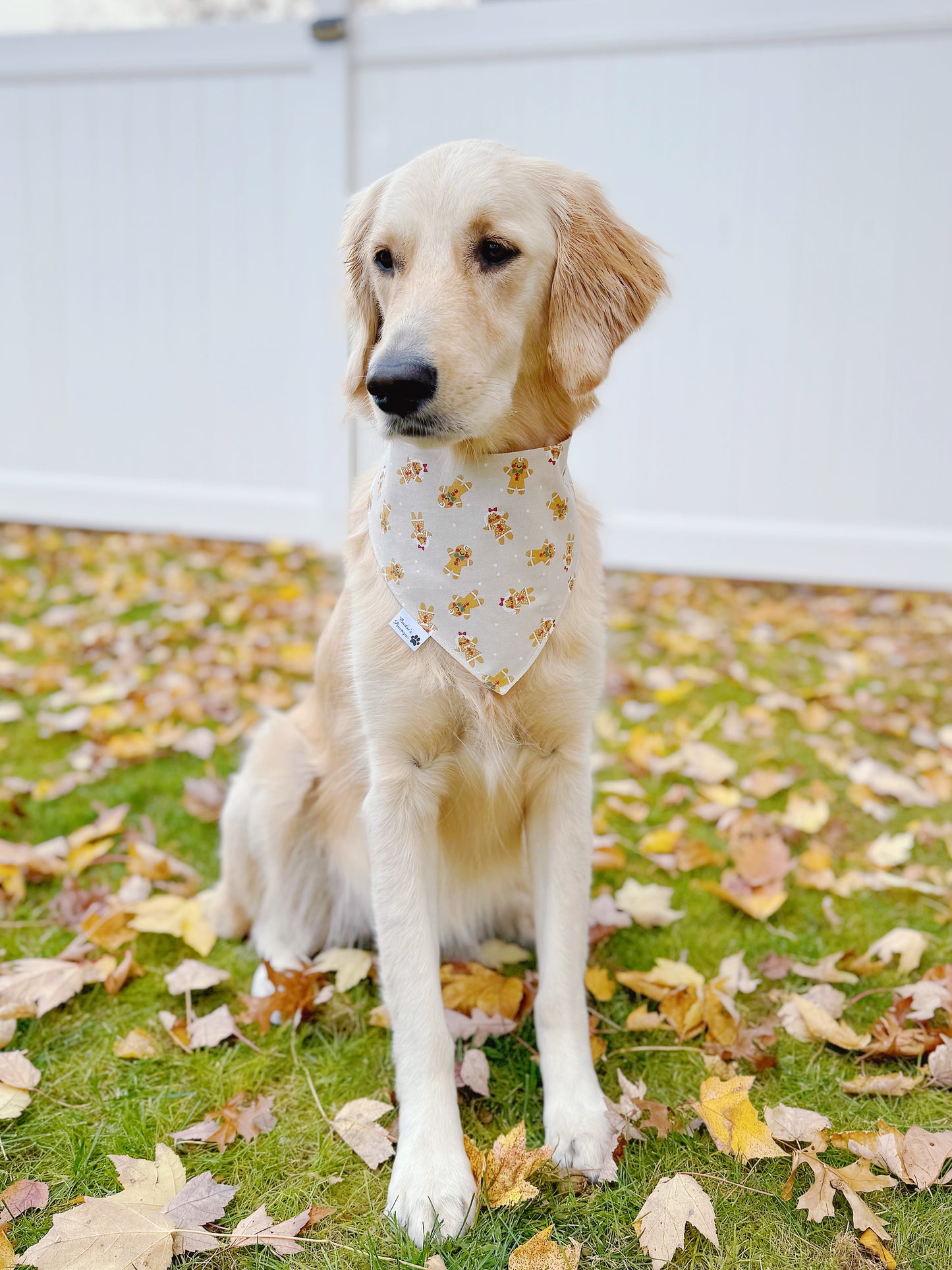 Marshmallows And Gingerbread Bandana