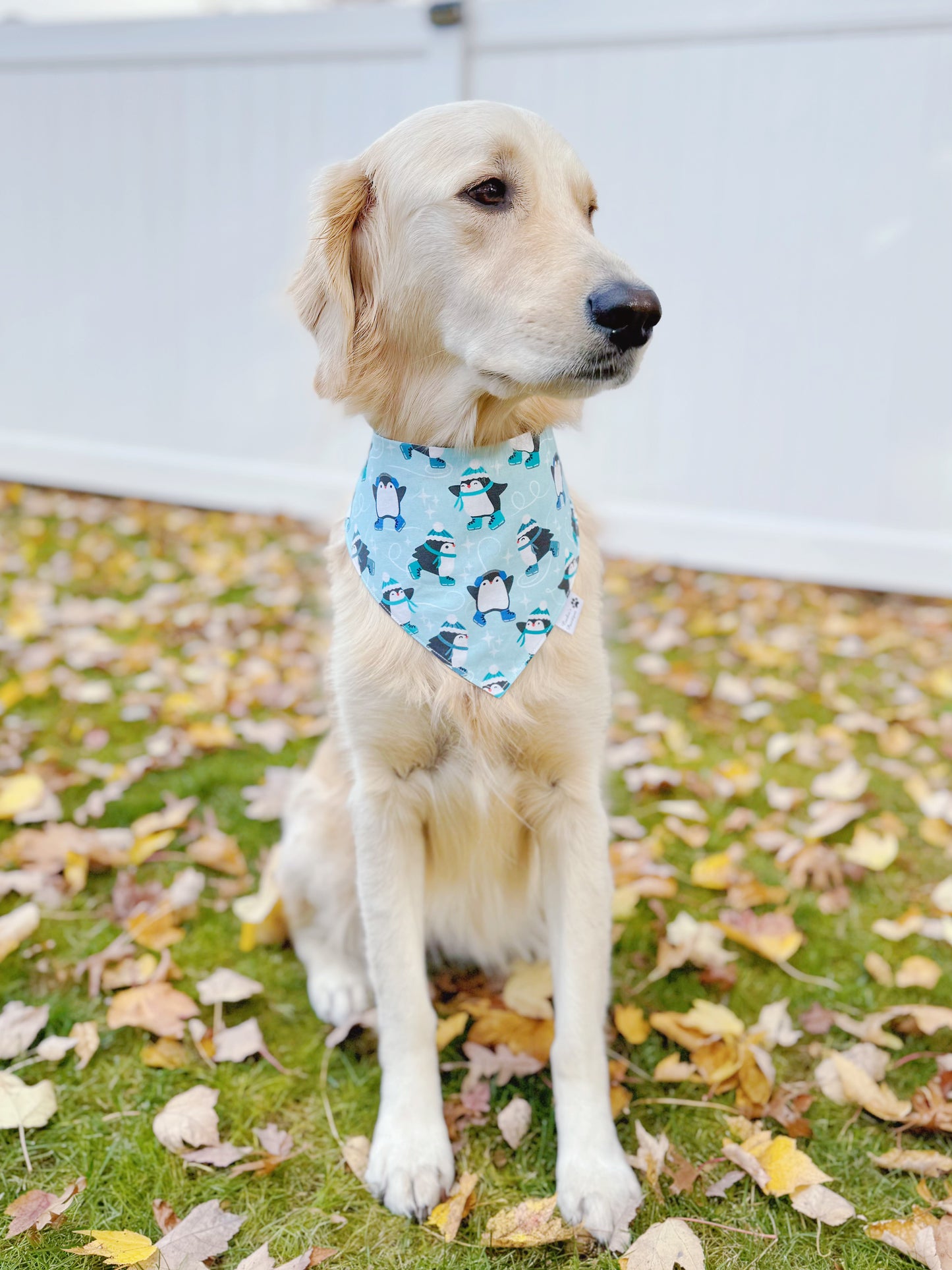 Ice Skating Penguins and Snowflakes Bandana