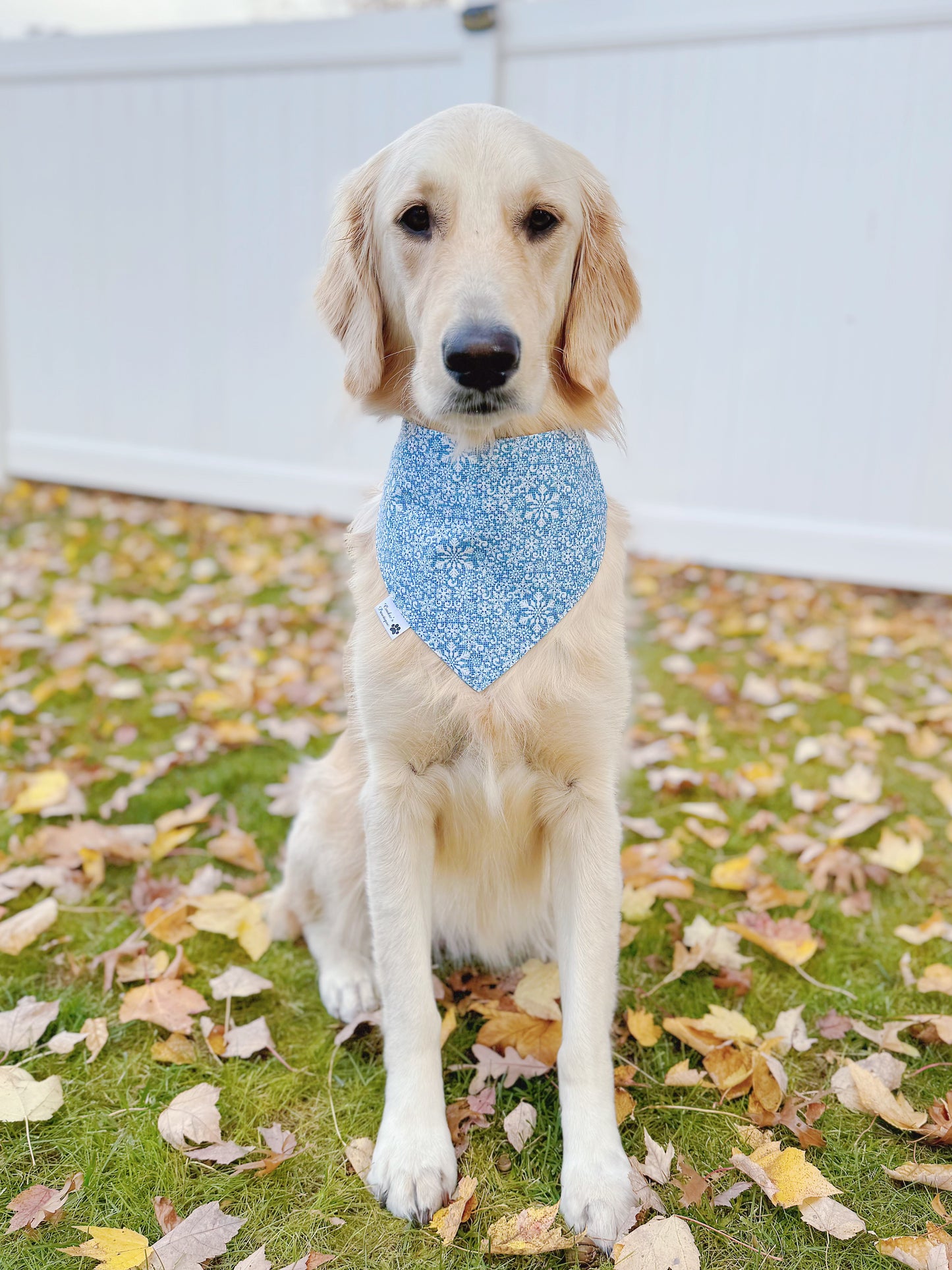 Ice Skating Penguins and Snowflakes Bandana